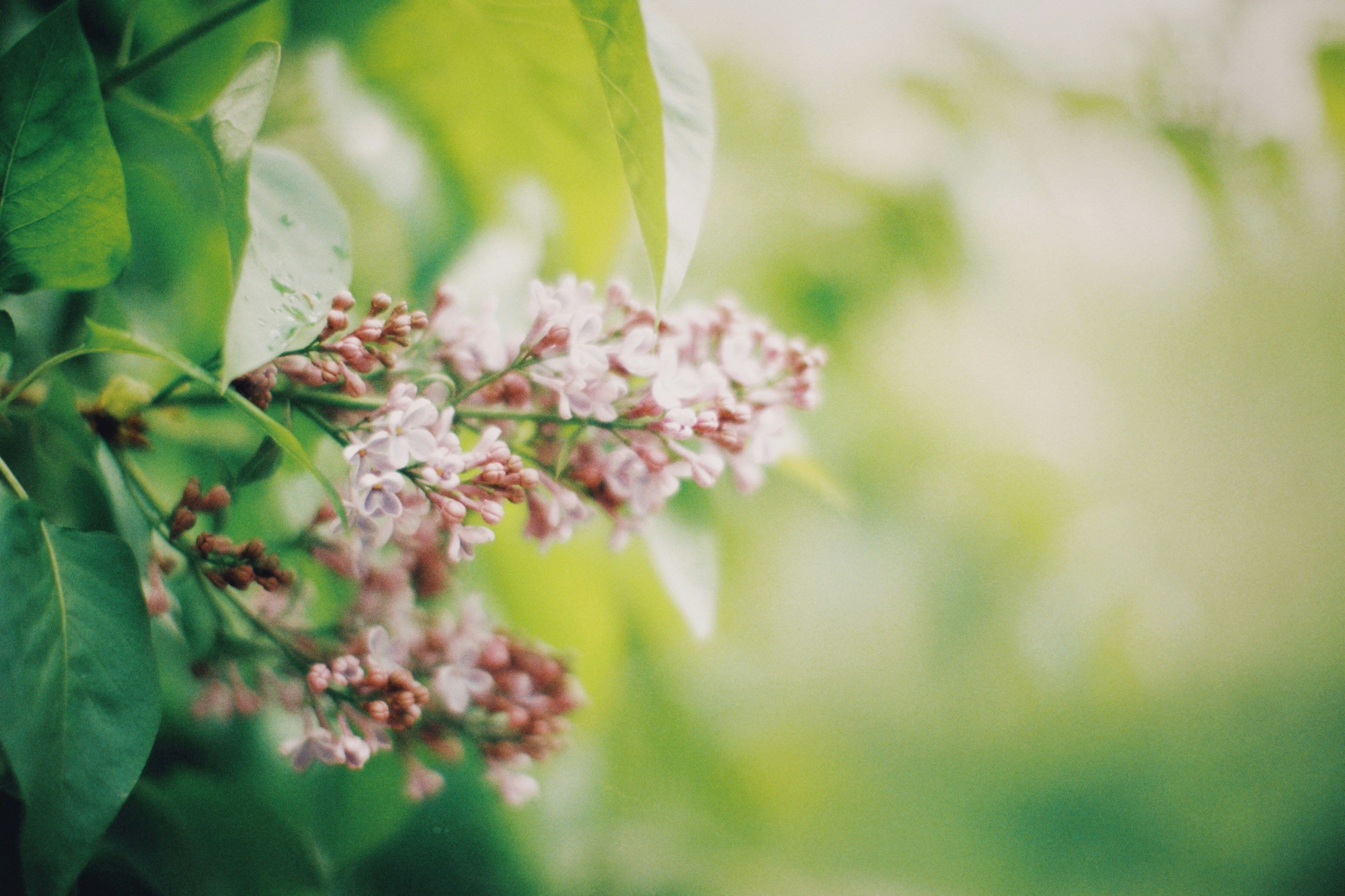 Photo by alexeydemidov