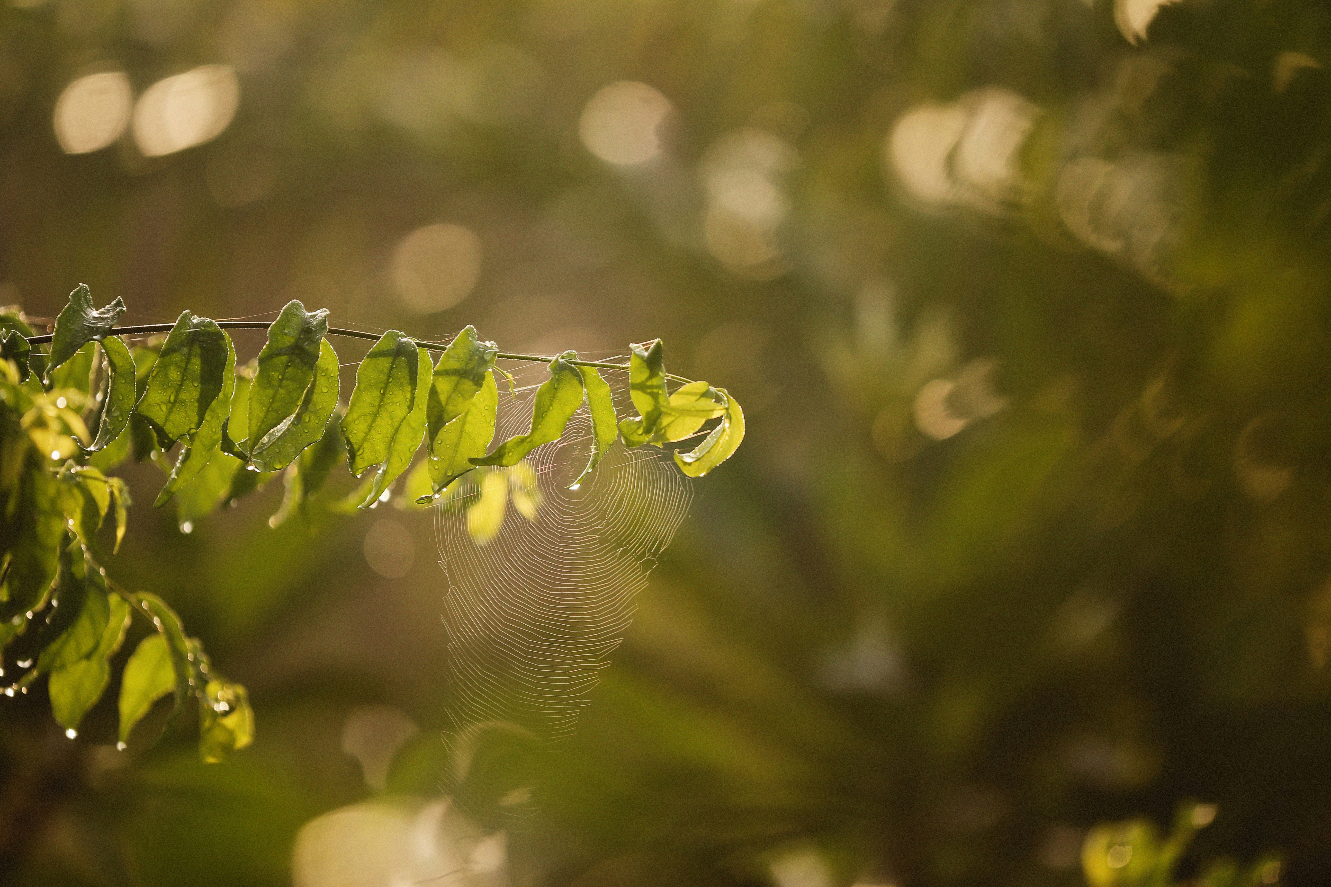 Photo by alexeydemidov