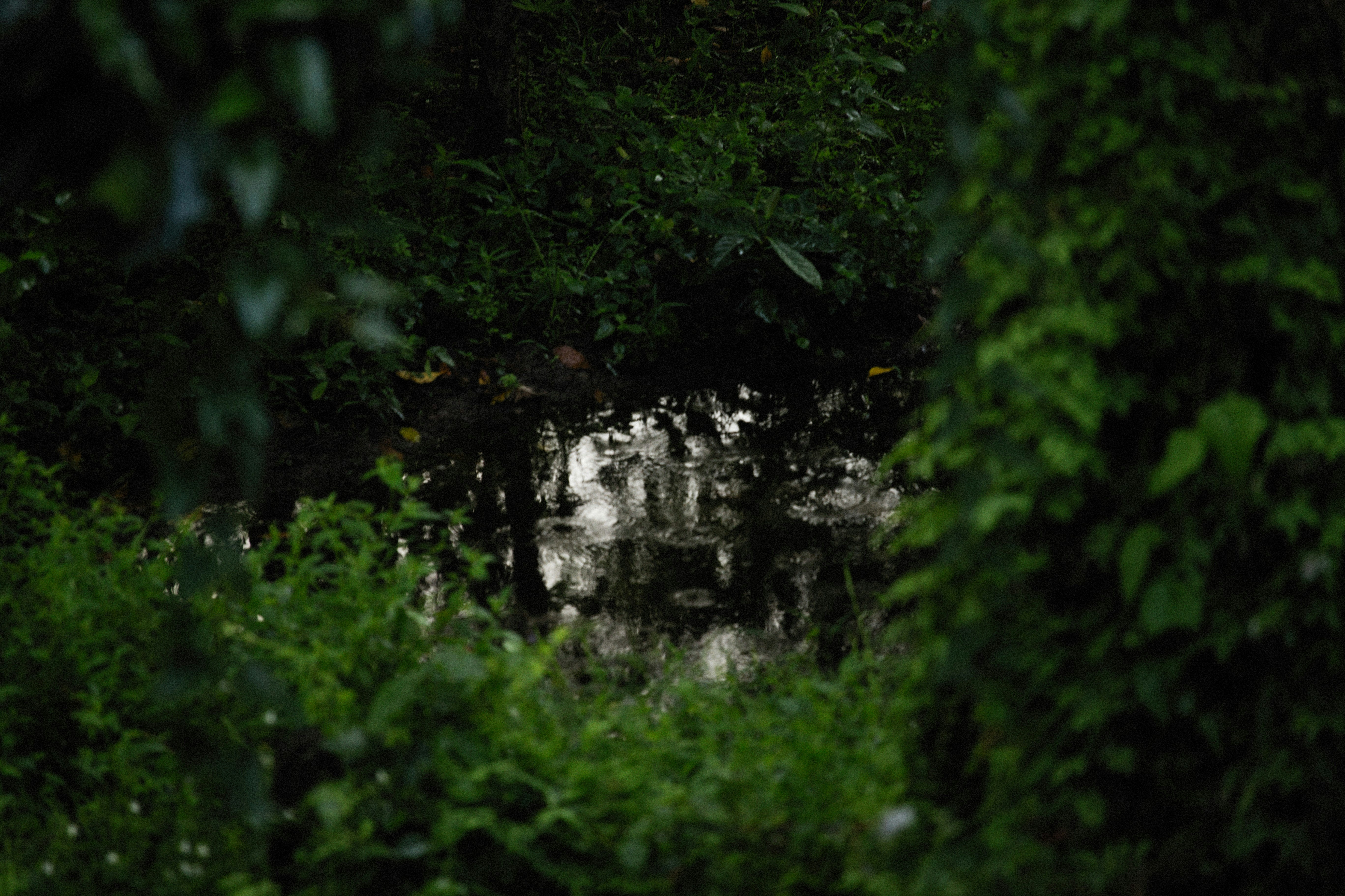 Photo by alexeydemidov