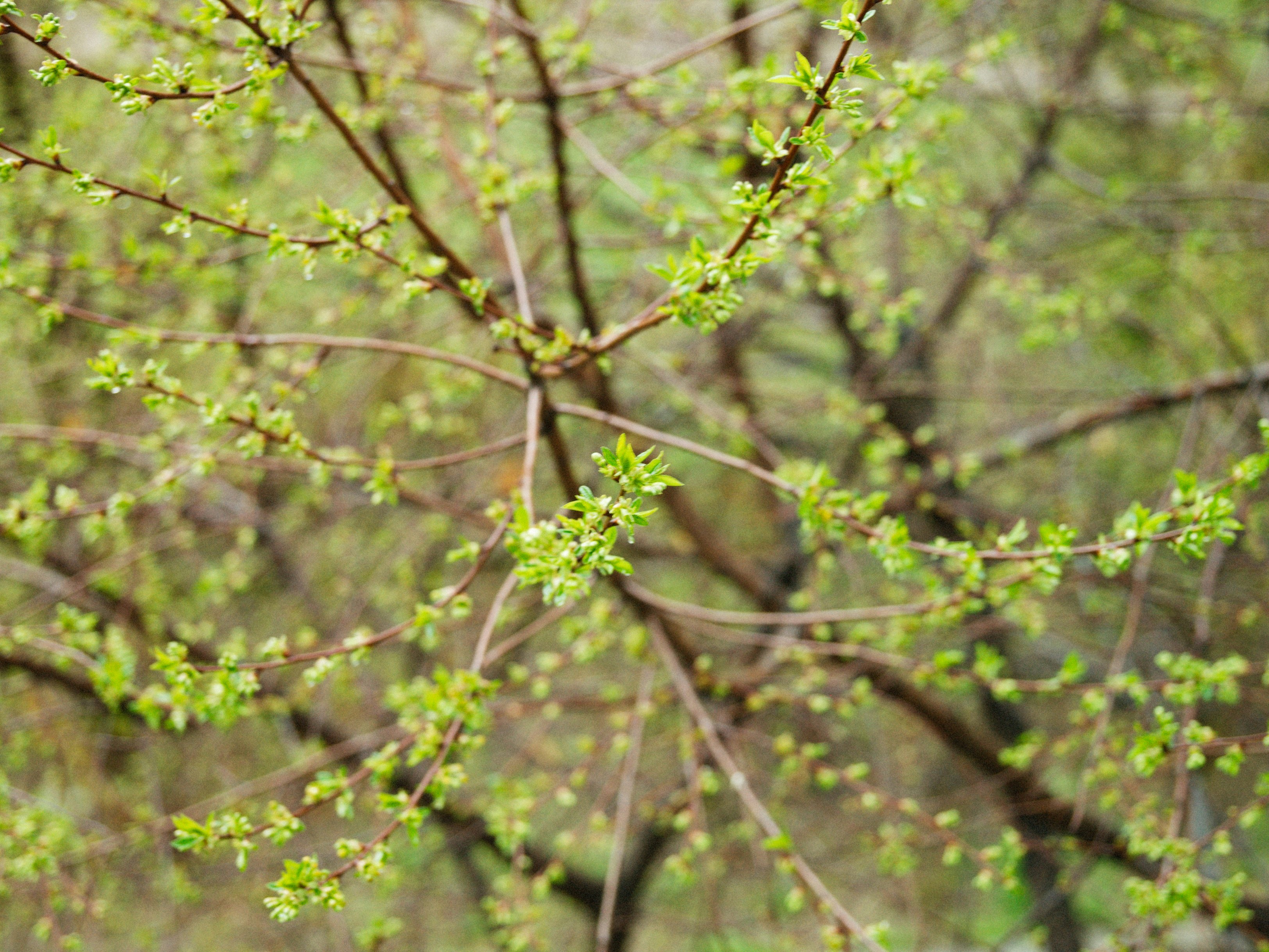 Photo by alexeydemidov