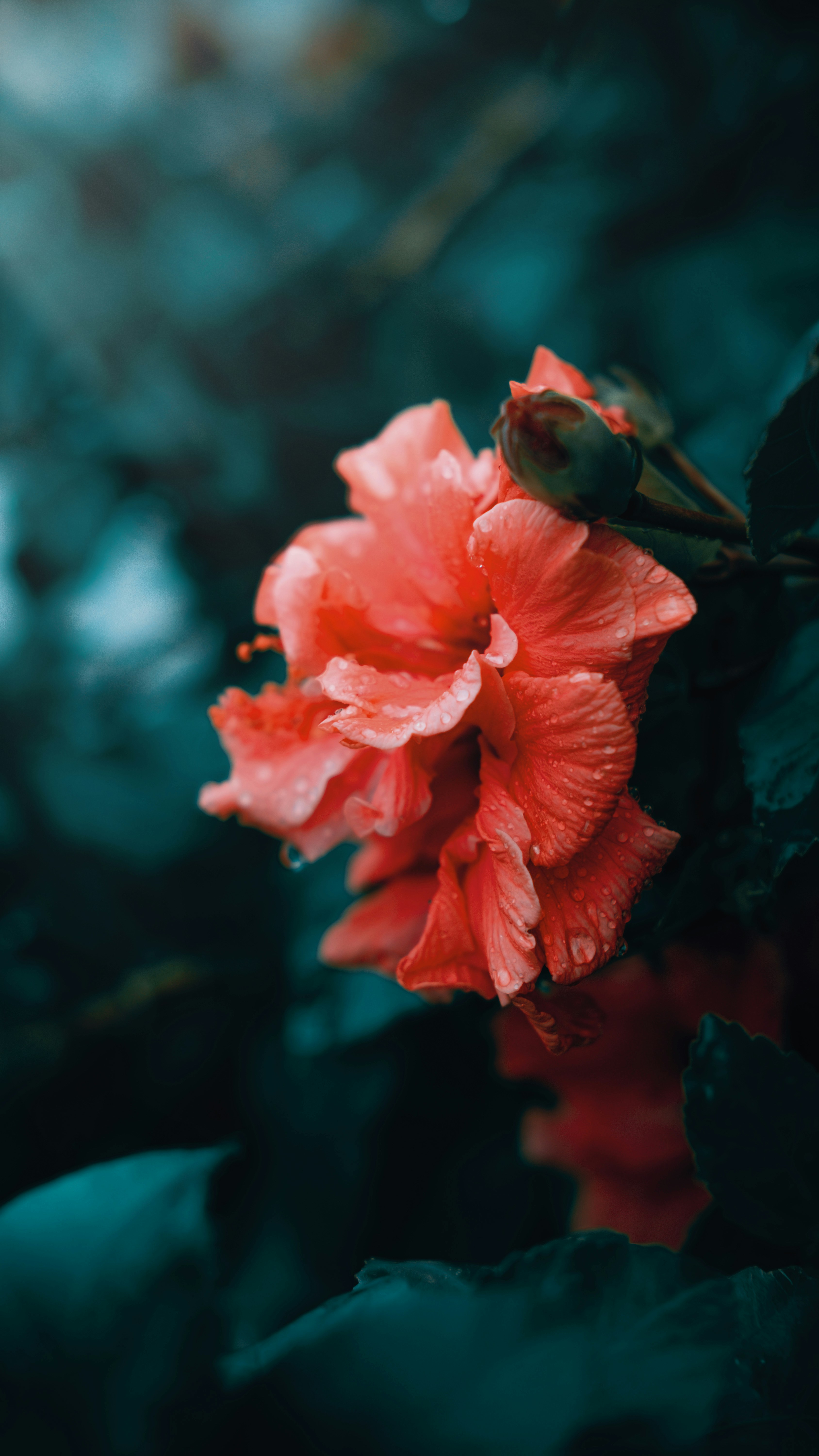 Photo by louaikheloufi