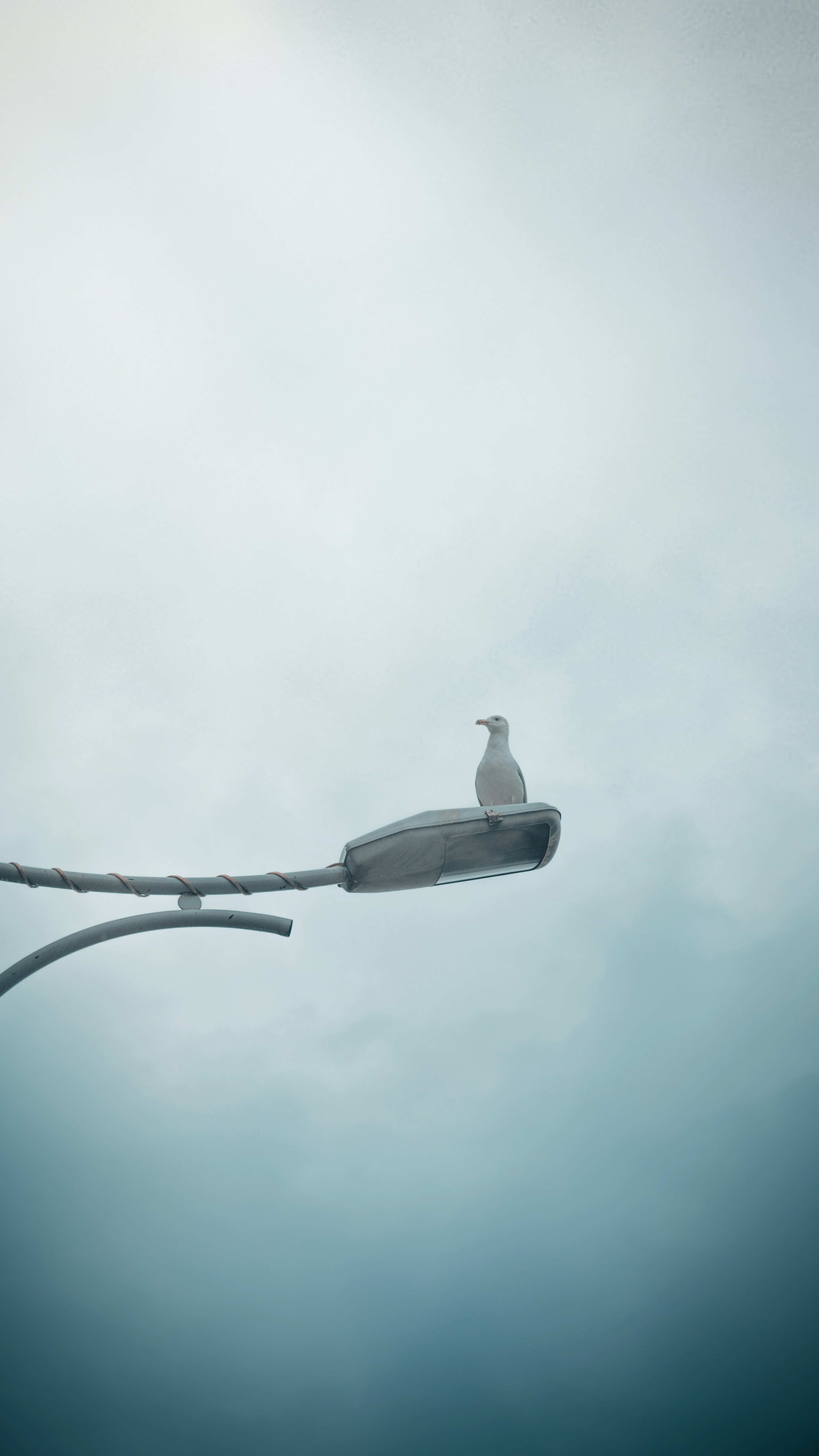 Photo by louaikheloufi