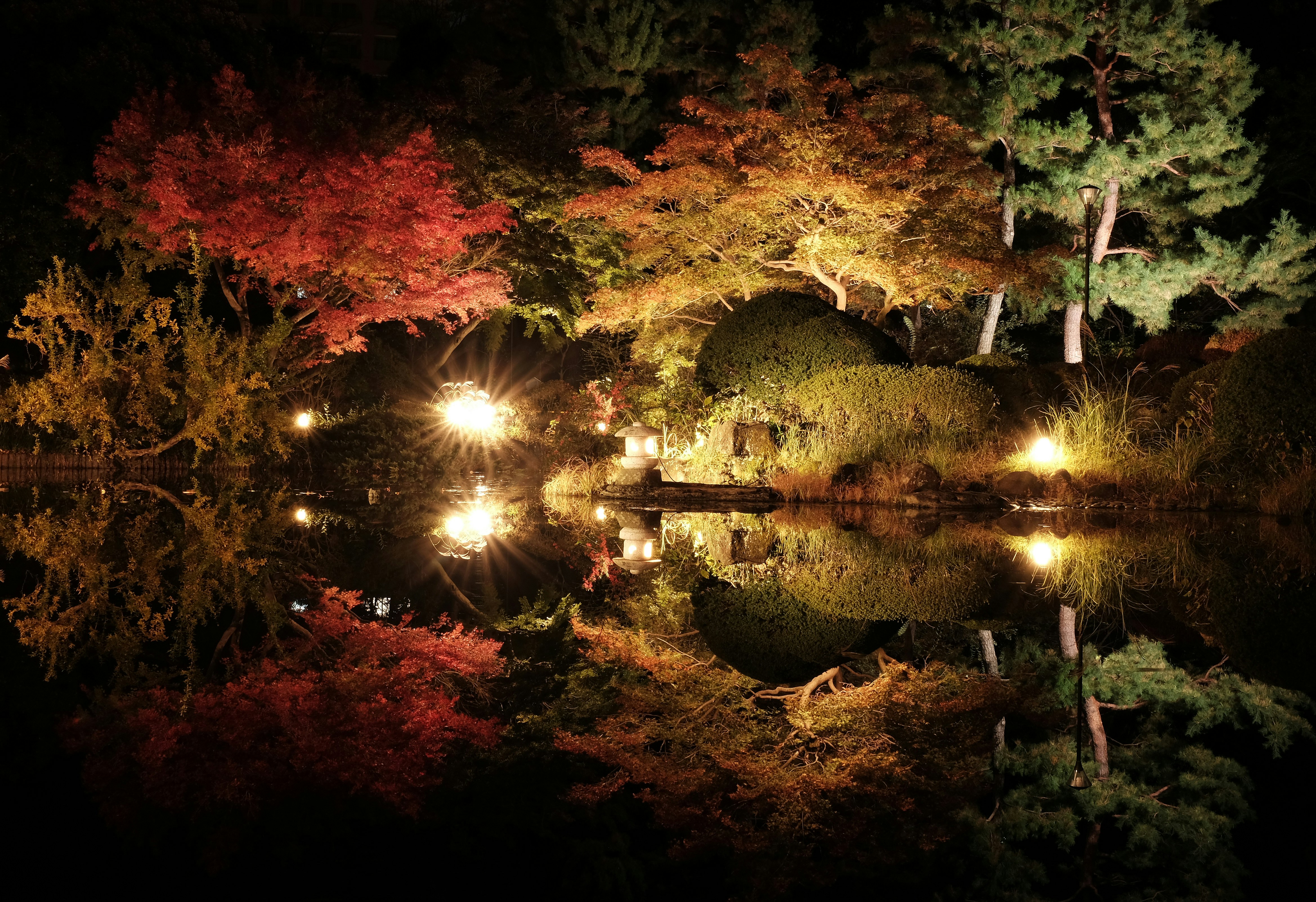 a pond surrounded by lots of trees with lights on it
