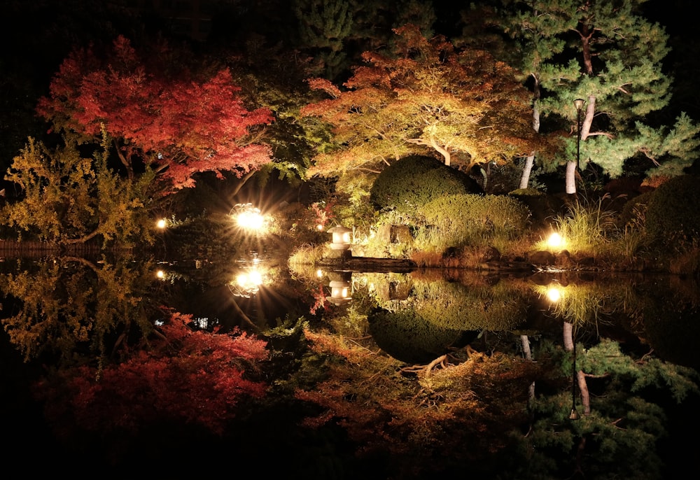 a pond surrounded by lots of trees with lights on it