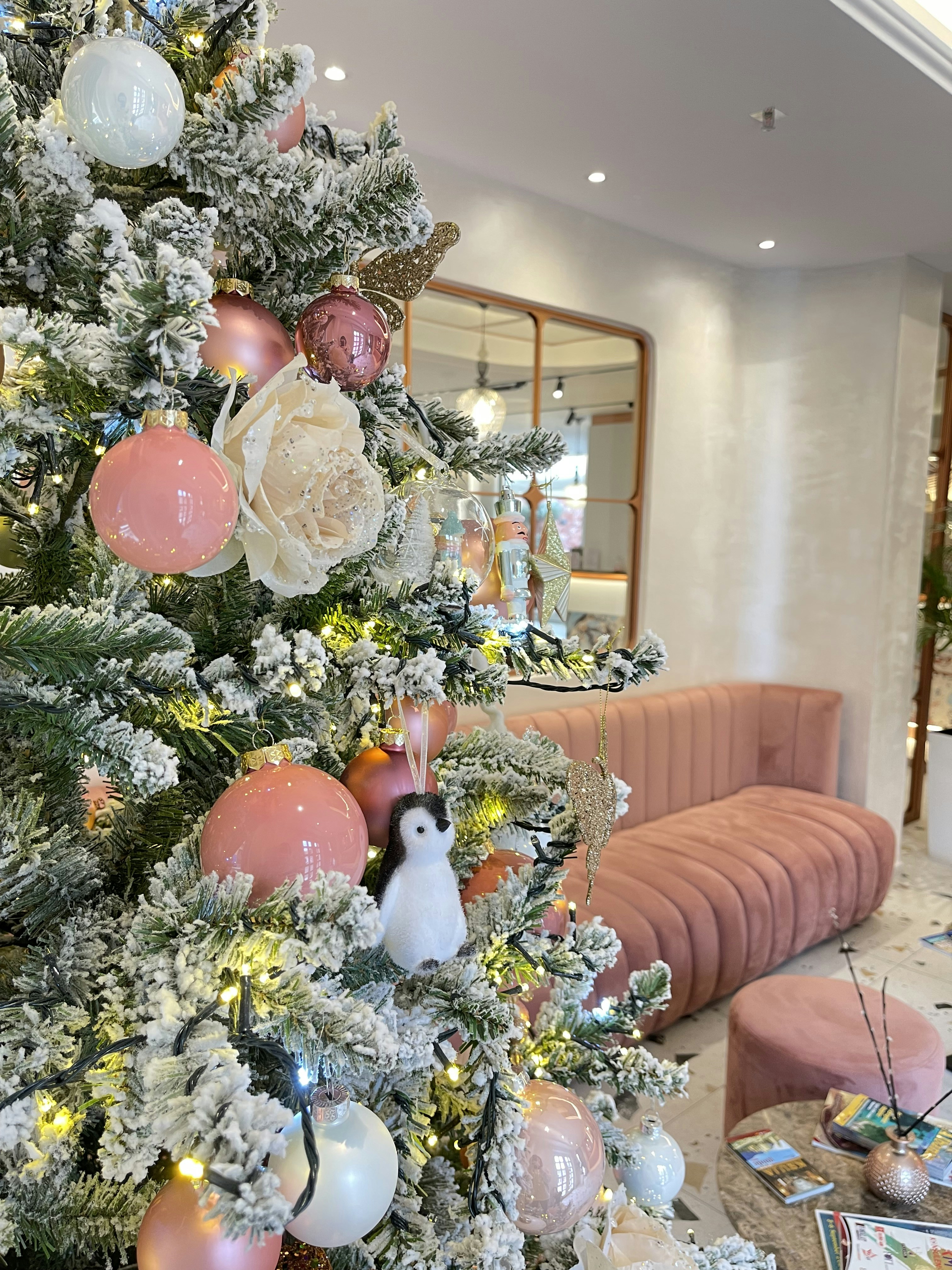 Evergreen Joy Rental