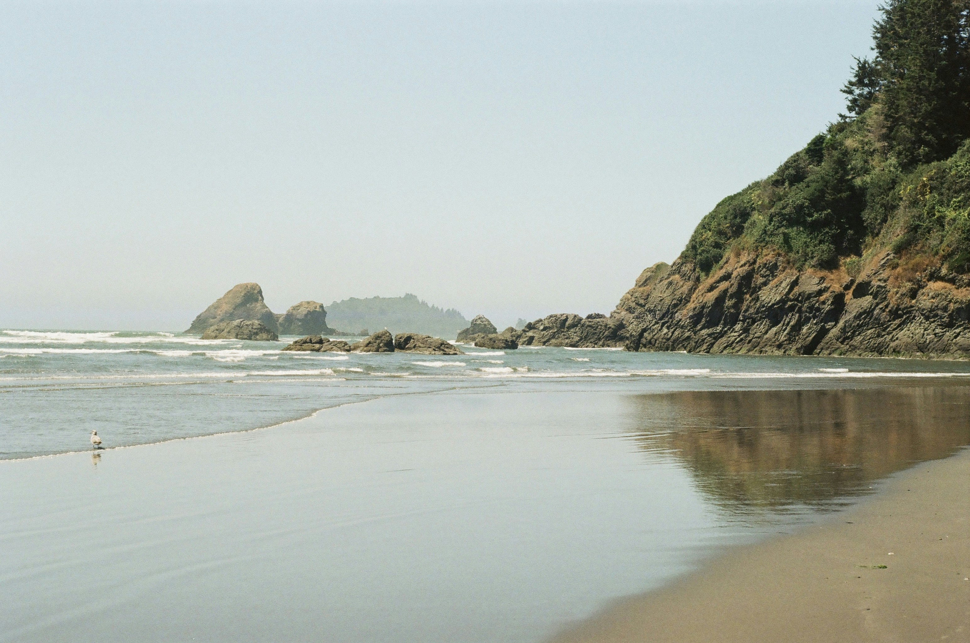 Photo by luisjlara343