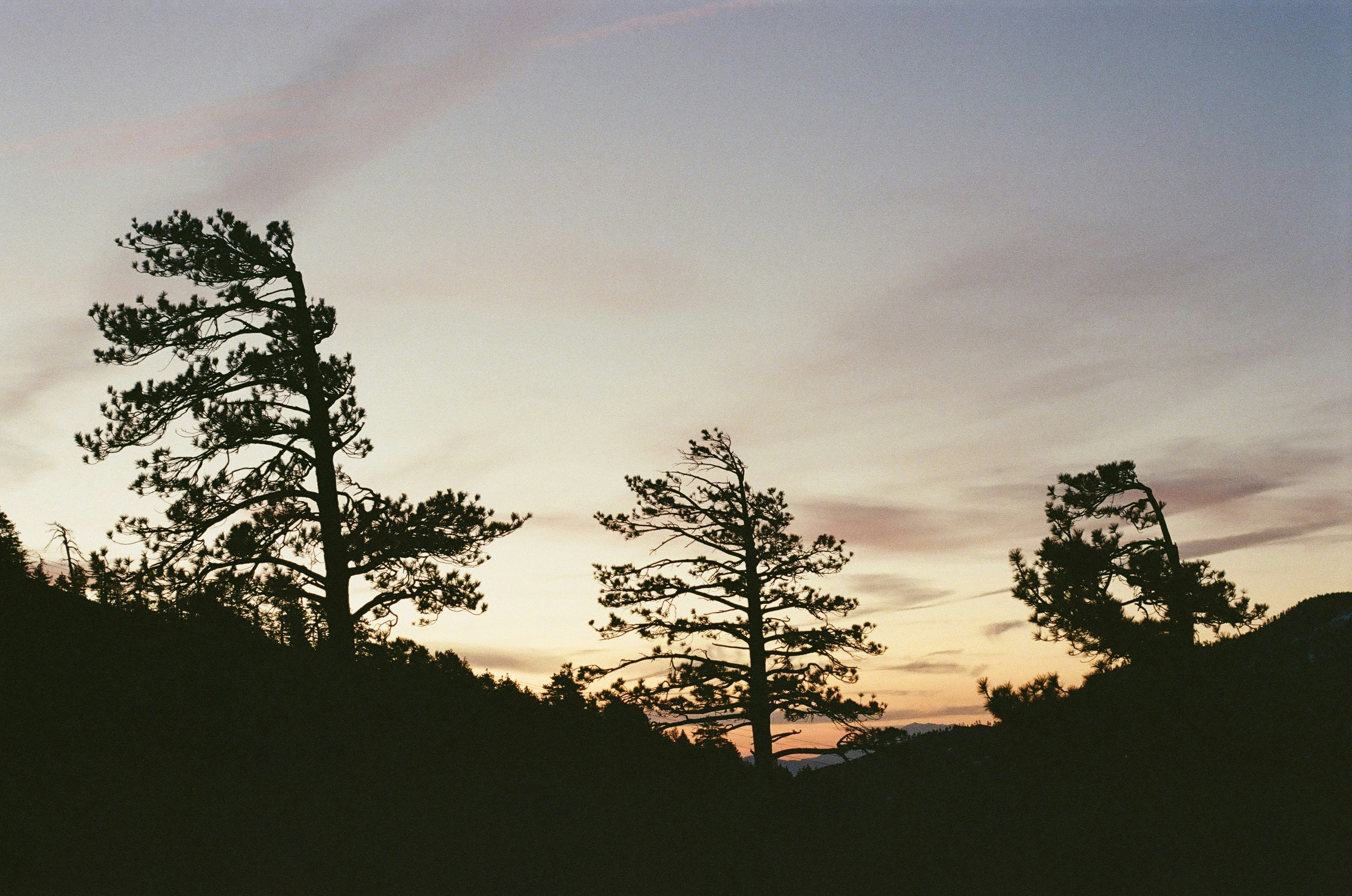 Photo by luisjlara343