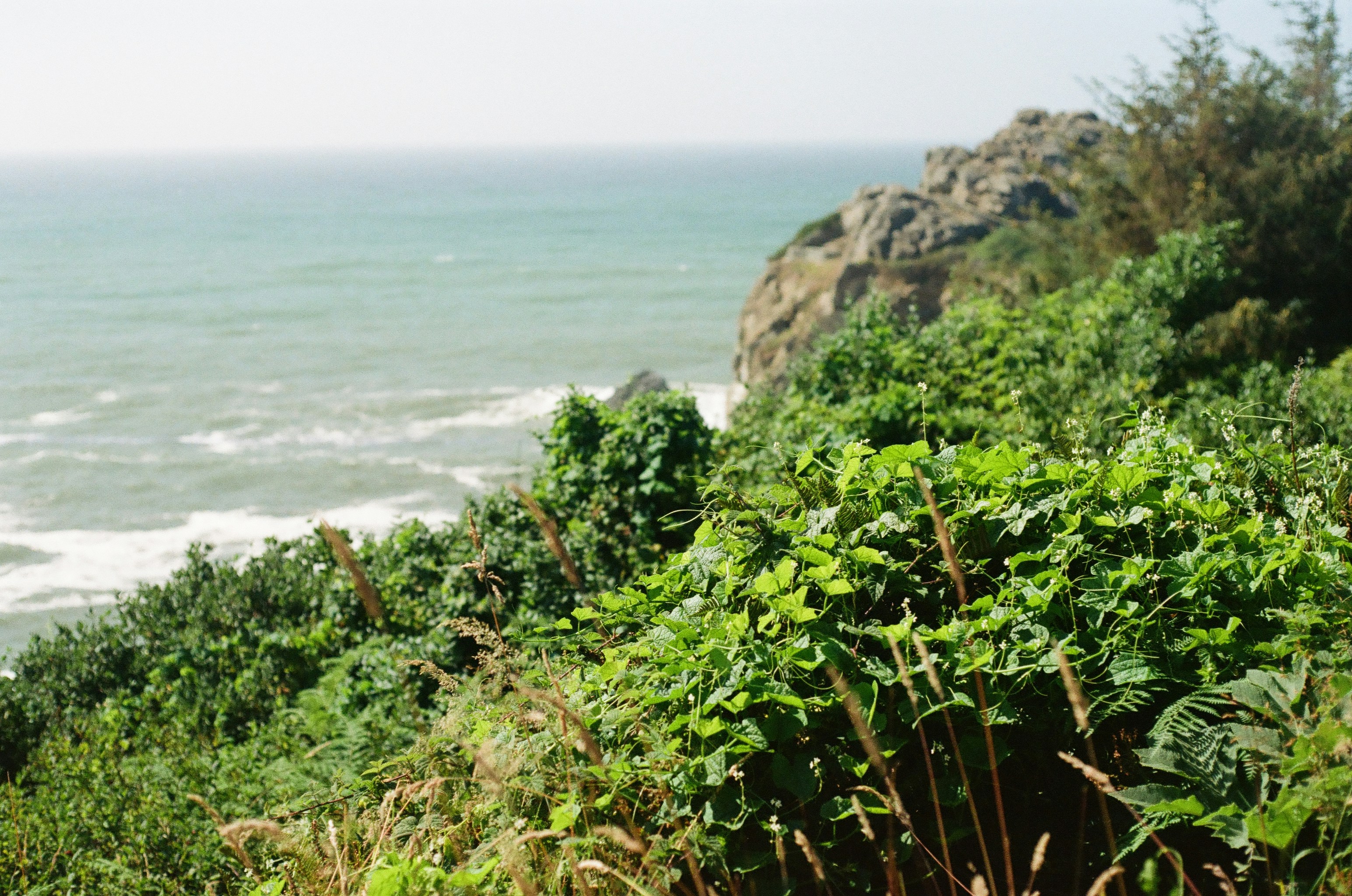 Photo by luisjlara343