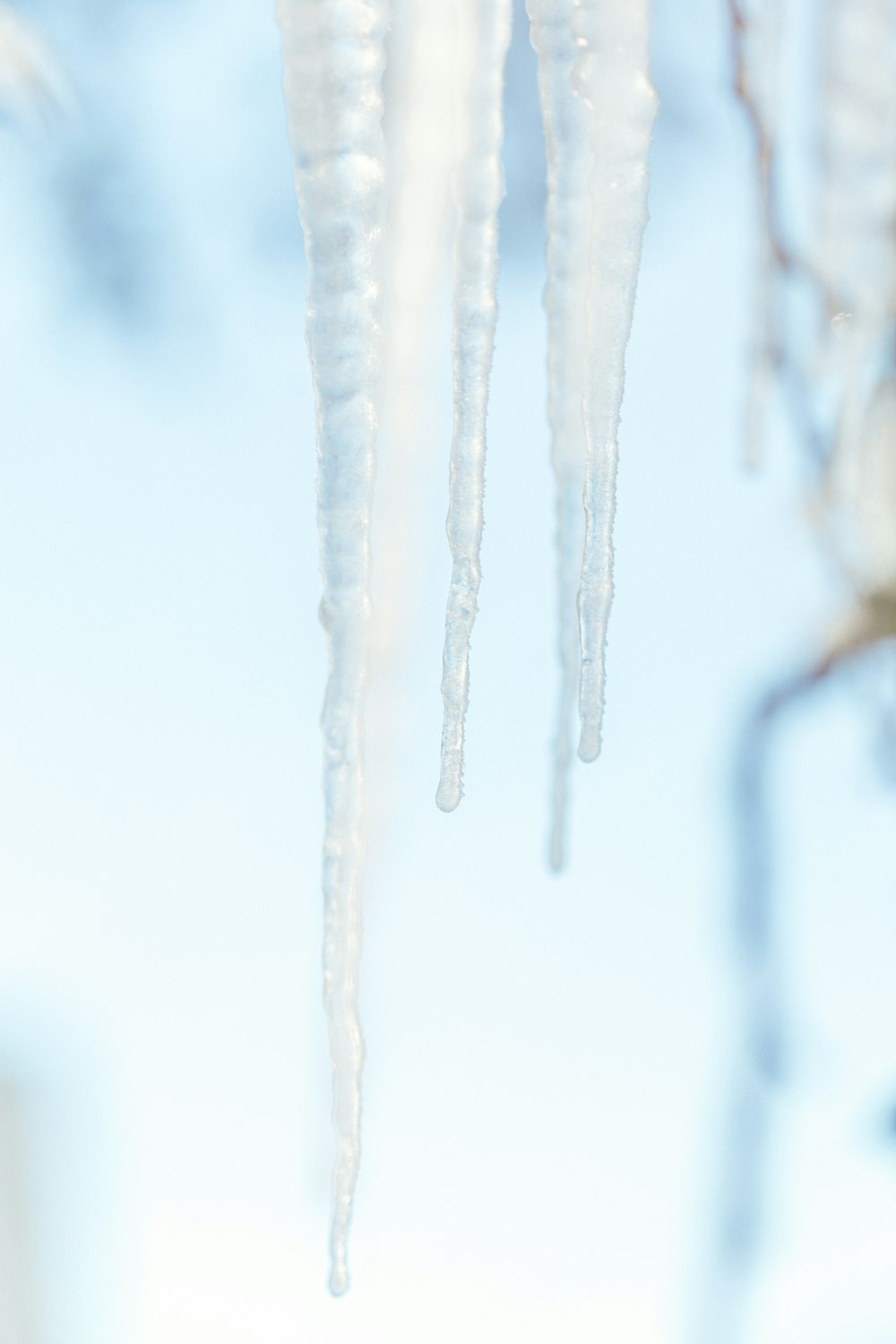 a bunch of icicles hanging from a tree