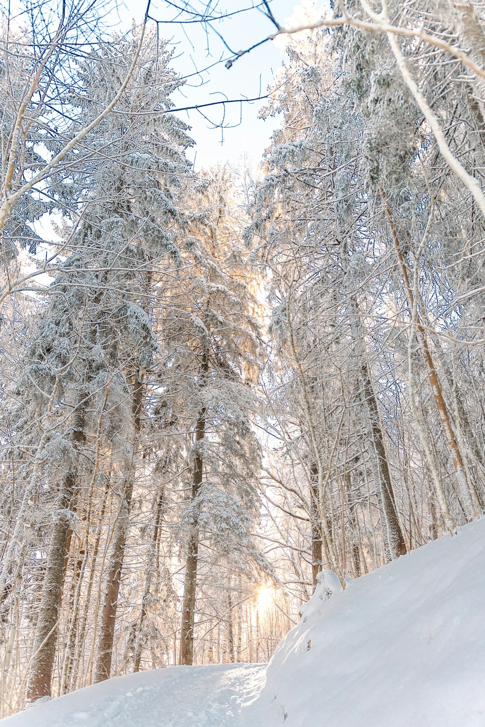 a person riding a snowboard down a snow covered slope