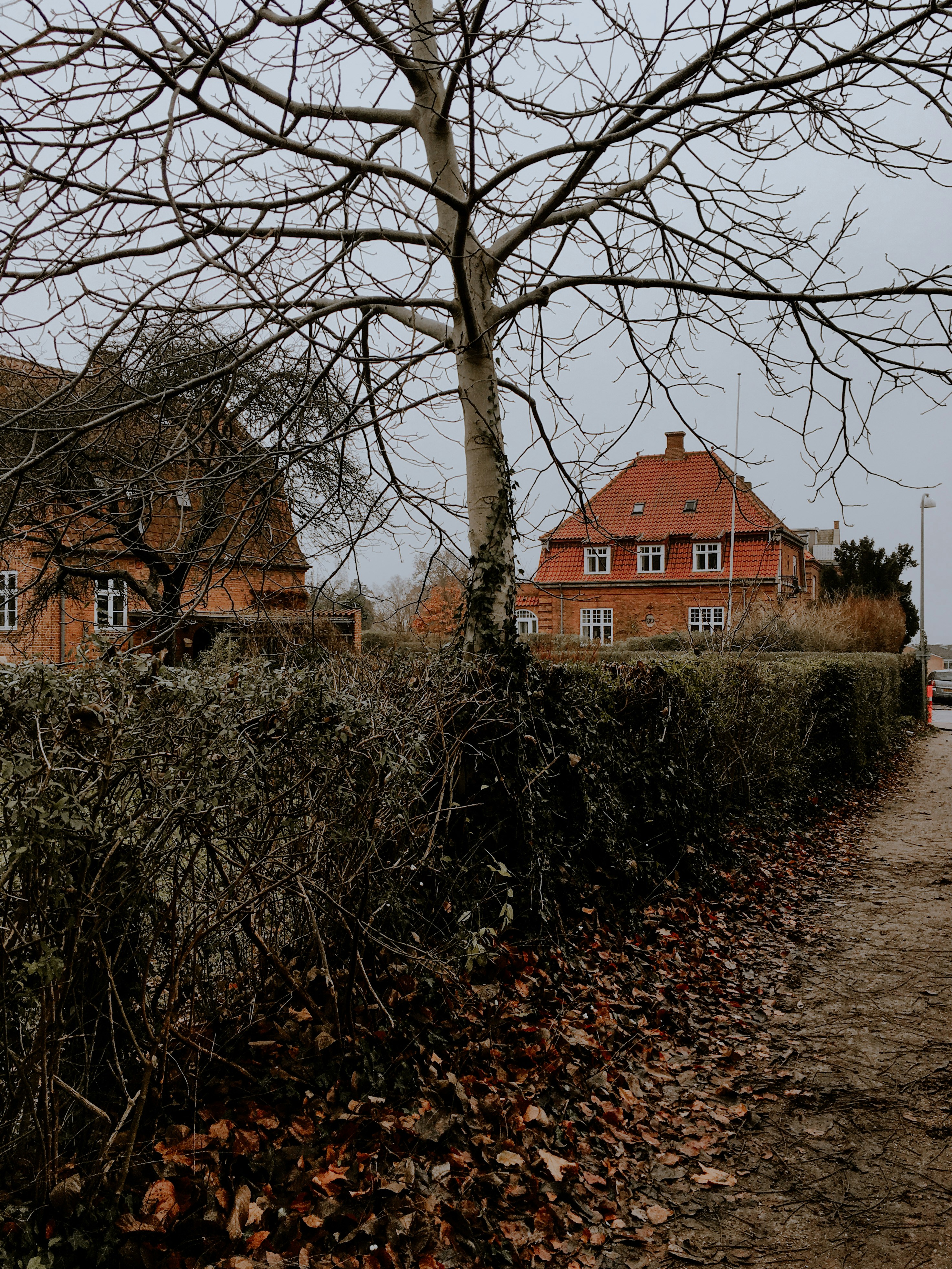 Roskilde – Natural Environment & Landscapes