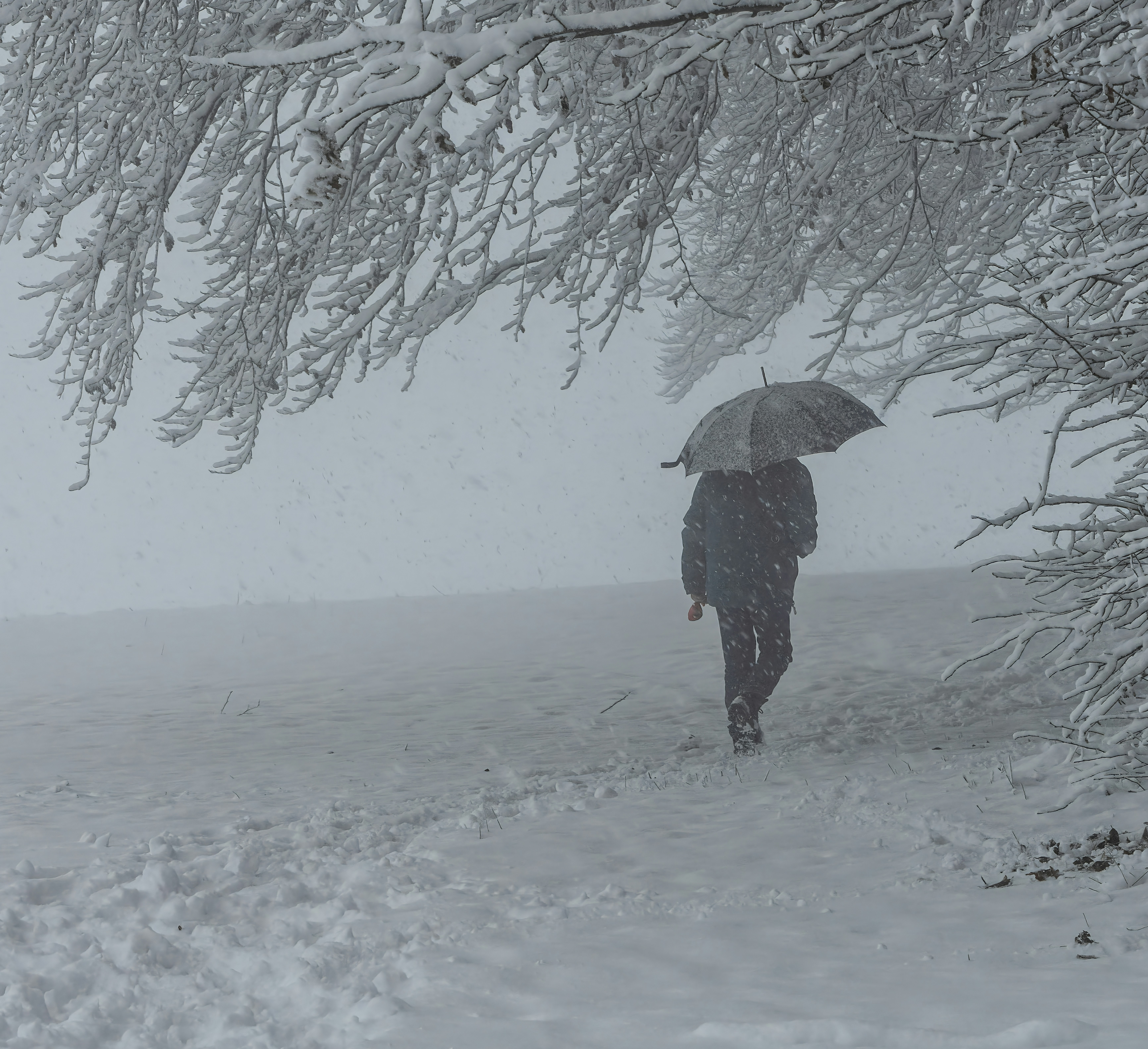 說故事的人 - 今天看到一則新聞，講述一名憂鬱症女孩，因為爸爸的言語，讓她決定走上絕路

其實看到這個我還蠻有感的

以前我每天都想要離開世界，當初最能聽我說的人也是父親

但他當