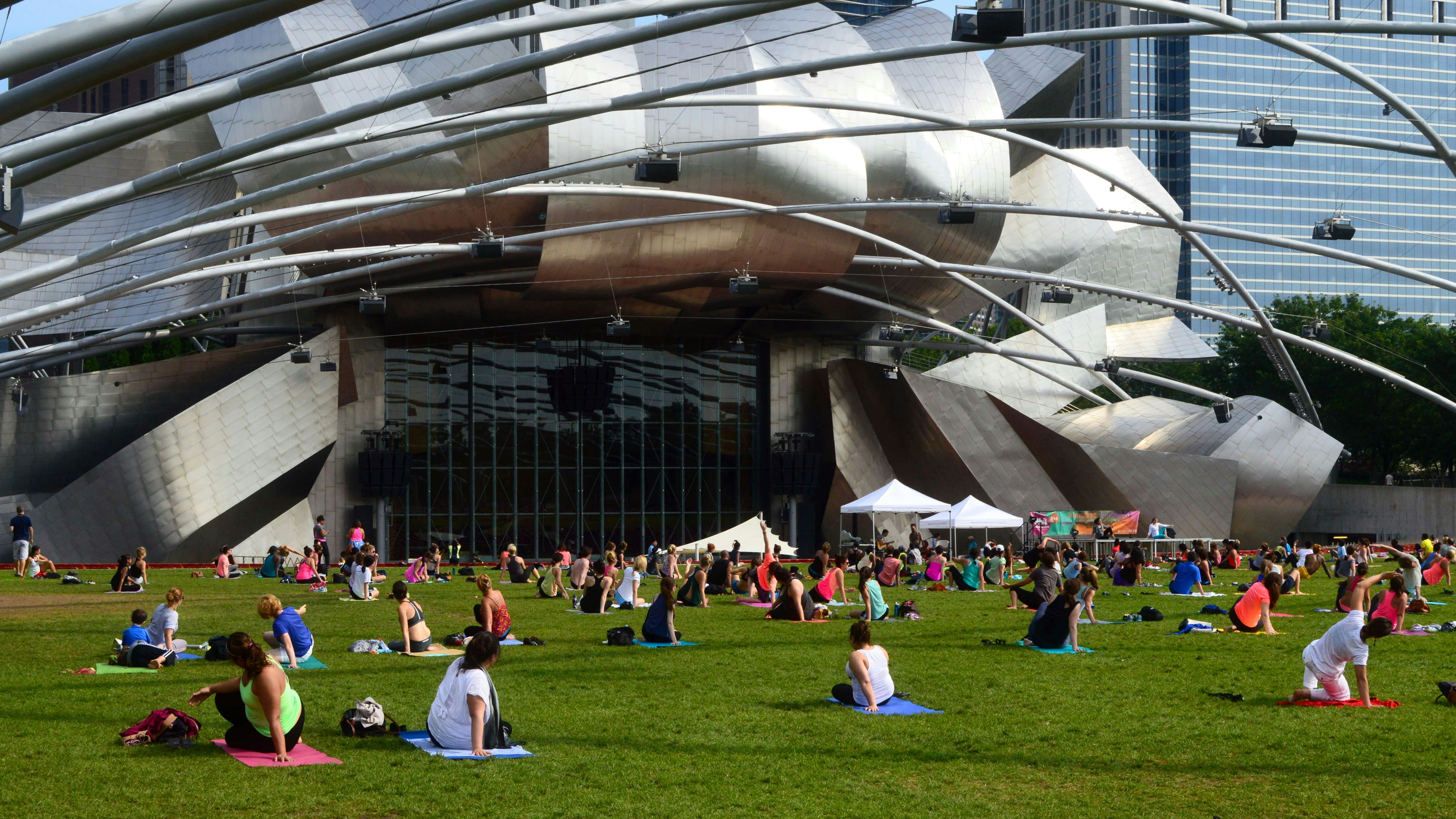 a large group of people sitting on top of a lush green field
