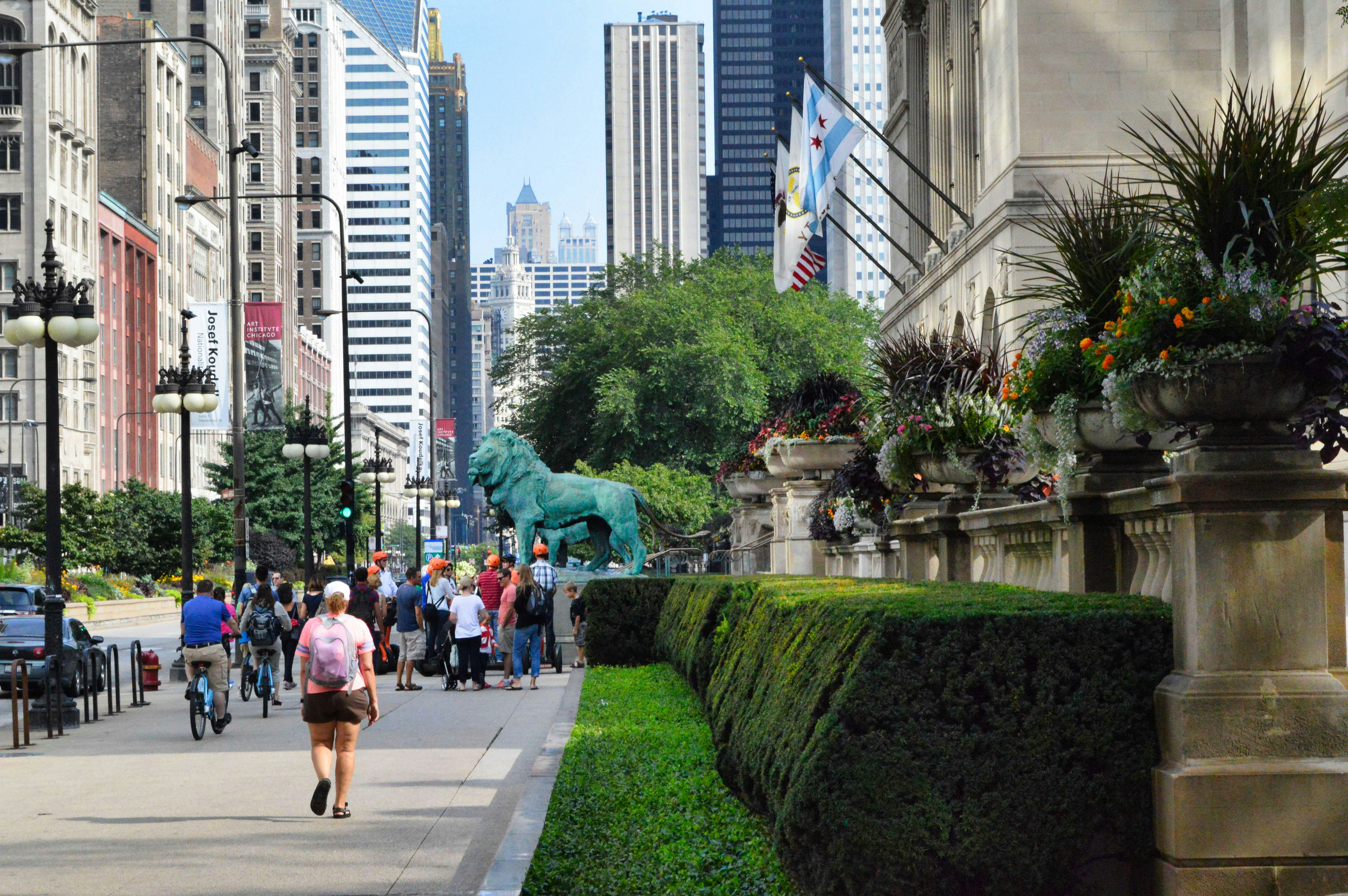 vibrant Chicago street in pet friendly neighborhood - pet friendly housing in chicago