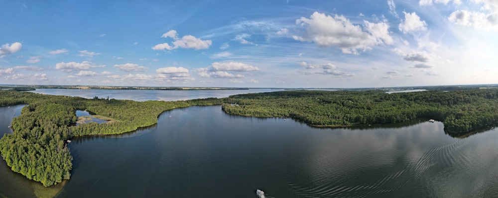 a large body of water surrounded by lush green trees