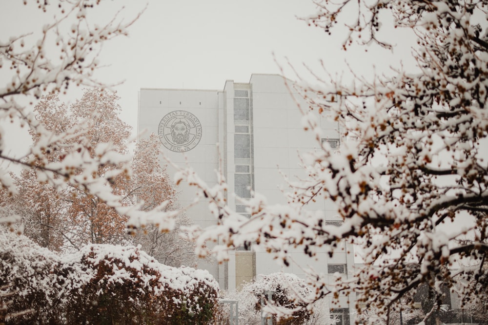 a snowy day in front of a university building