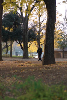 The author walking through a peaceful park, deep in thought, with autumn leaves around.