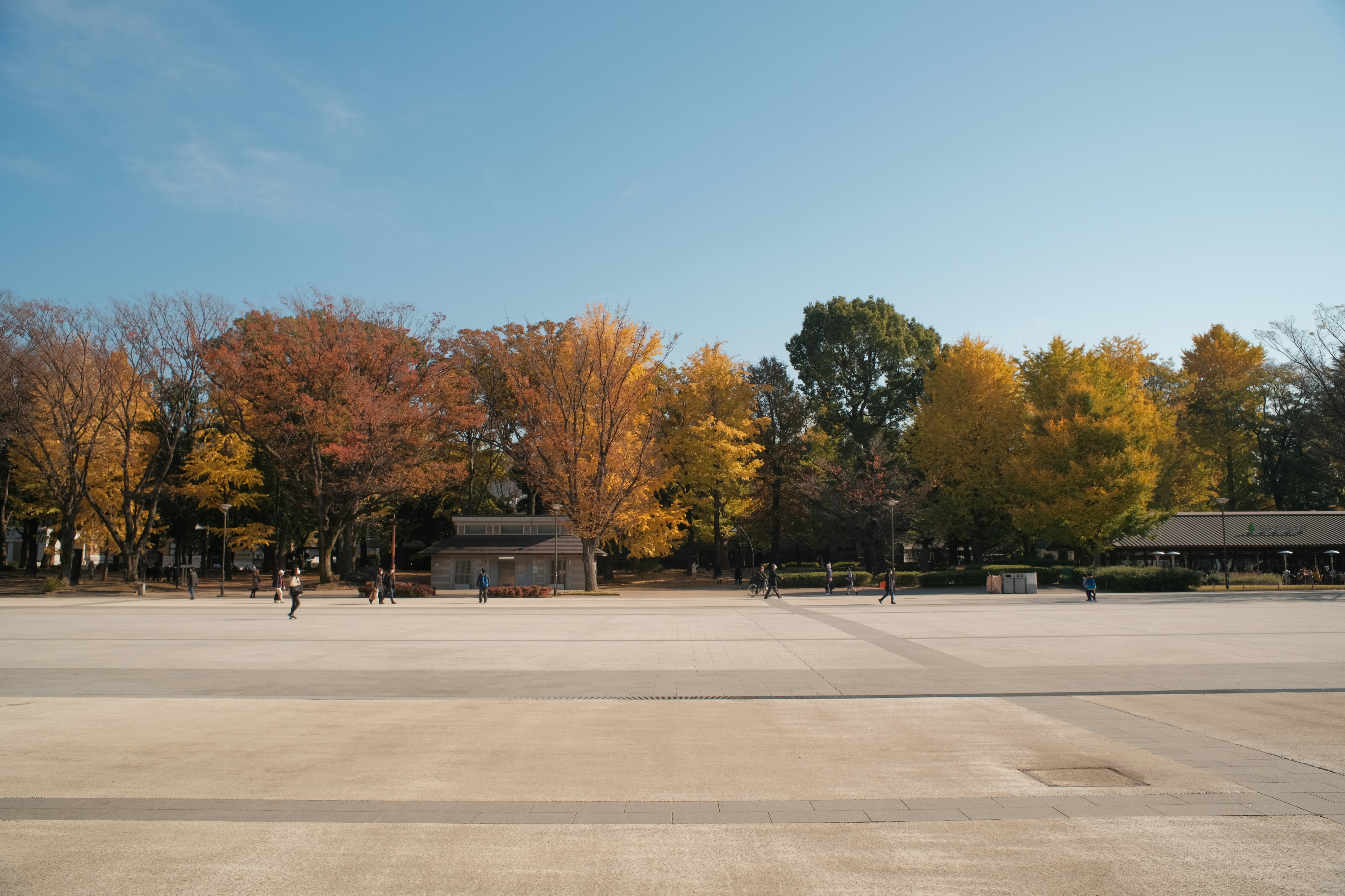 Camera:Fujifilm X-T20
Lens:7artisans50mmF0.95
Location:Ueno Park
