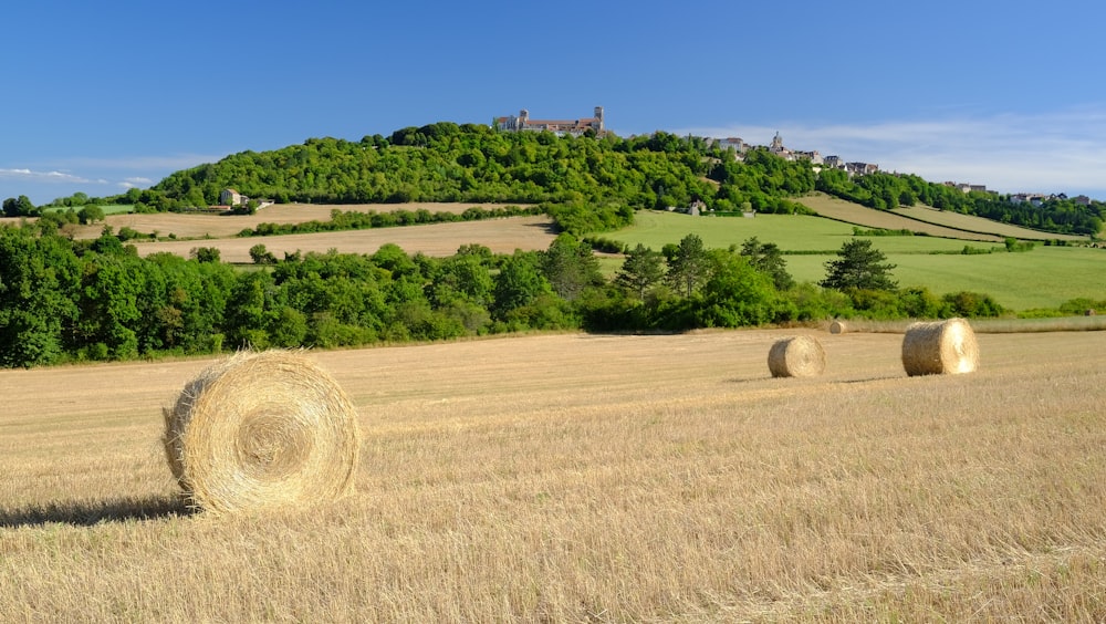 a field with hay bales in the foreground and a hill in the background