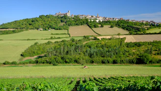 A scenic landscape of a quaint European village nestled among green hills.