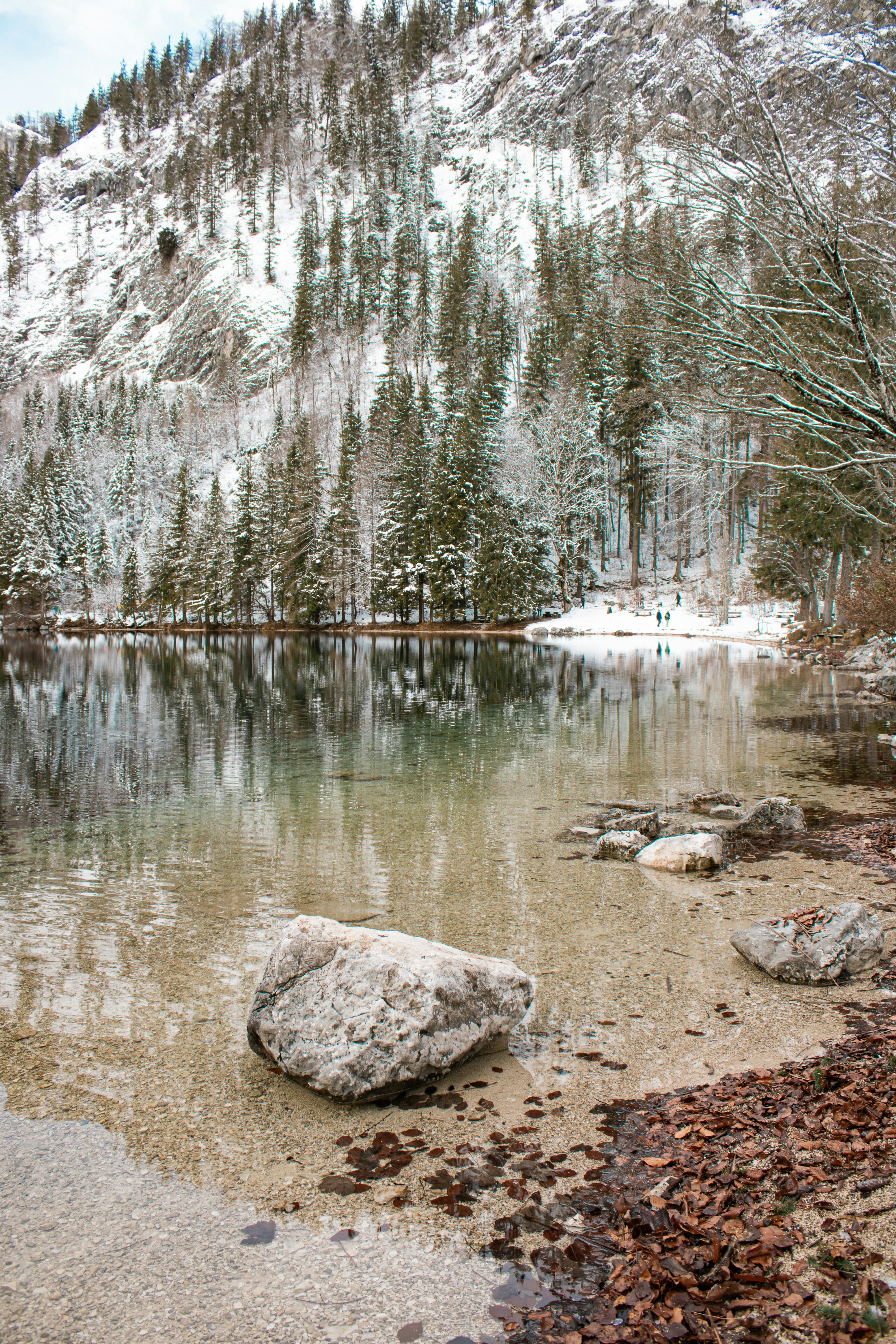 Photo by marlene_haiberger