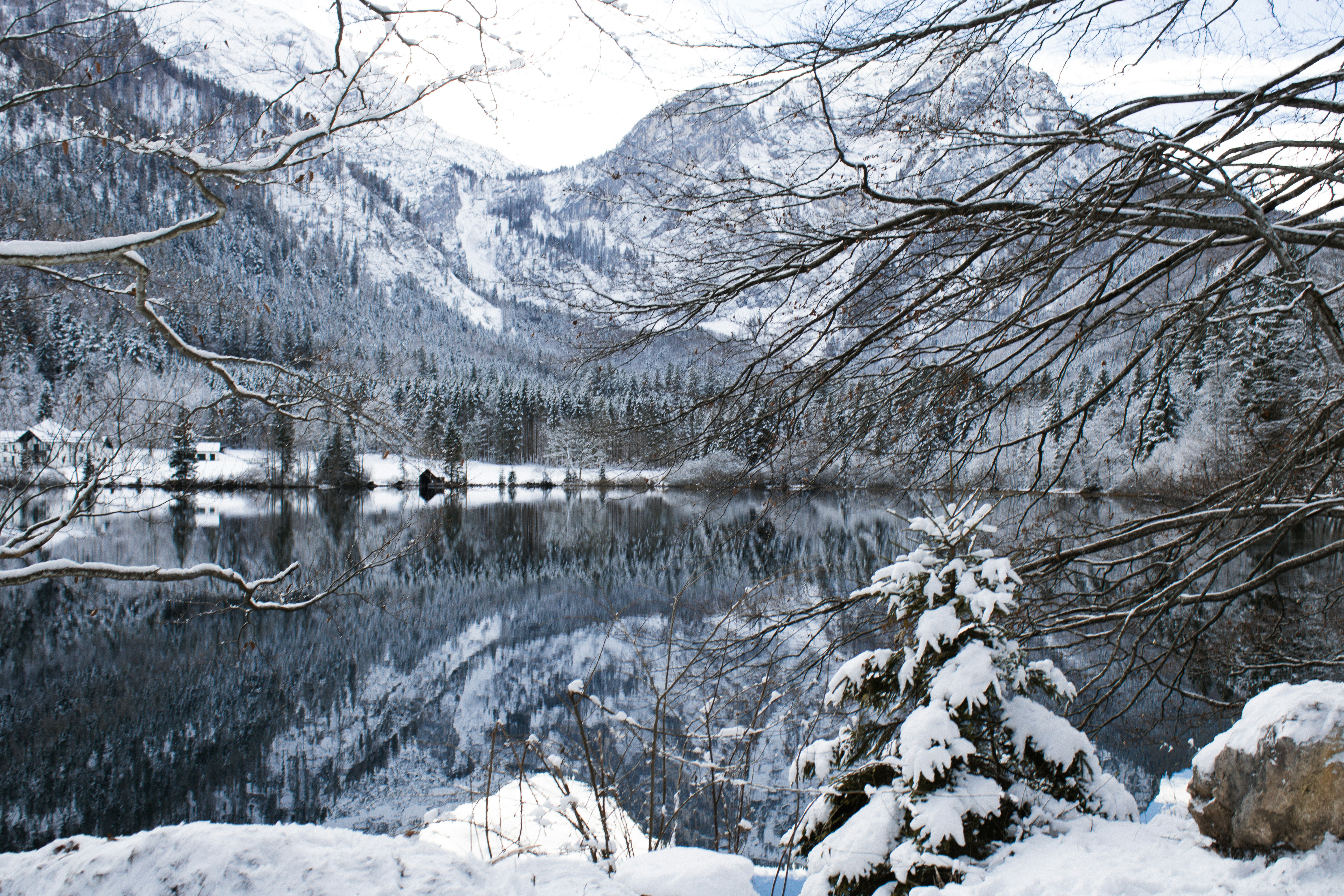 Photo by marlene_haiberger