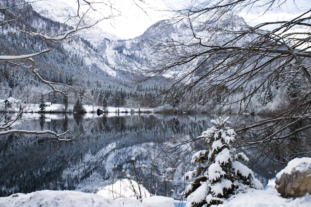 a lake surrounded by snow covered mountains and trees