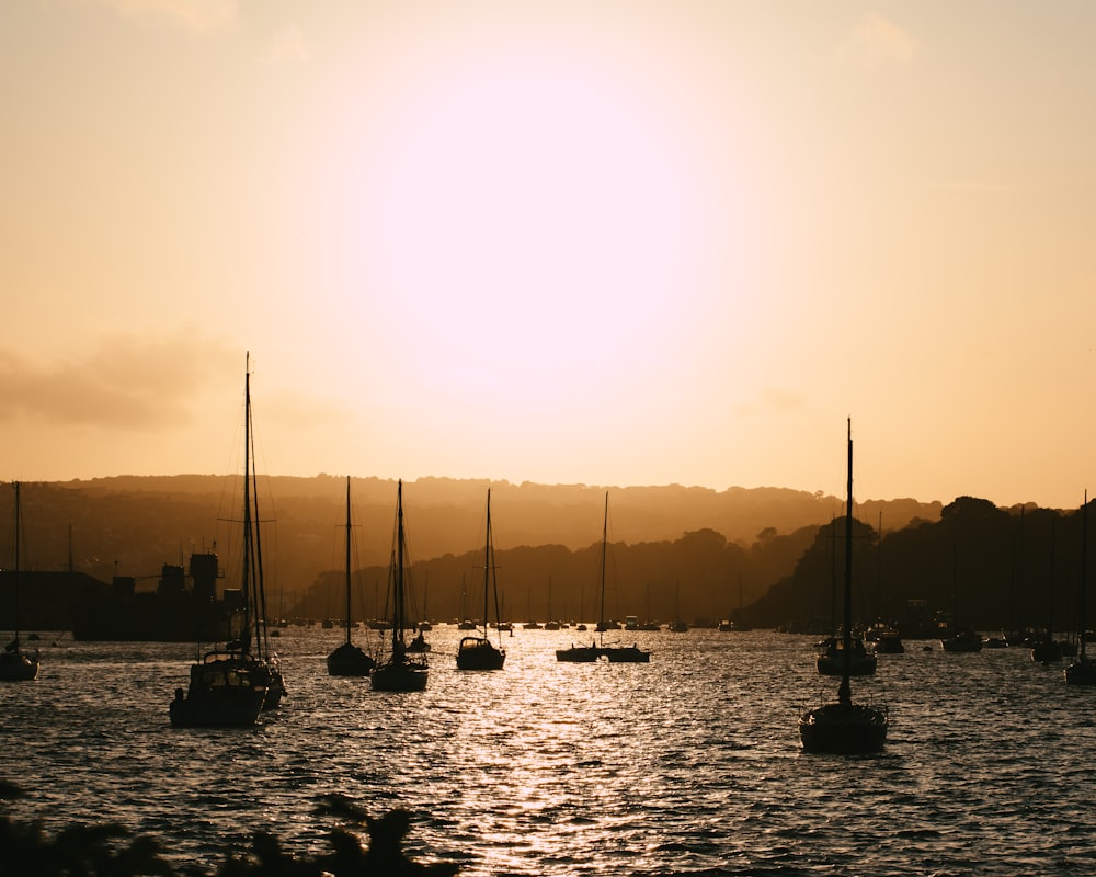 a group of boats floating on top of a body of water