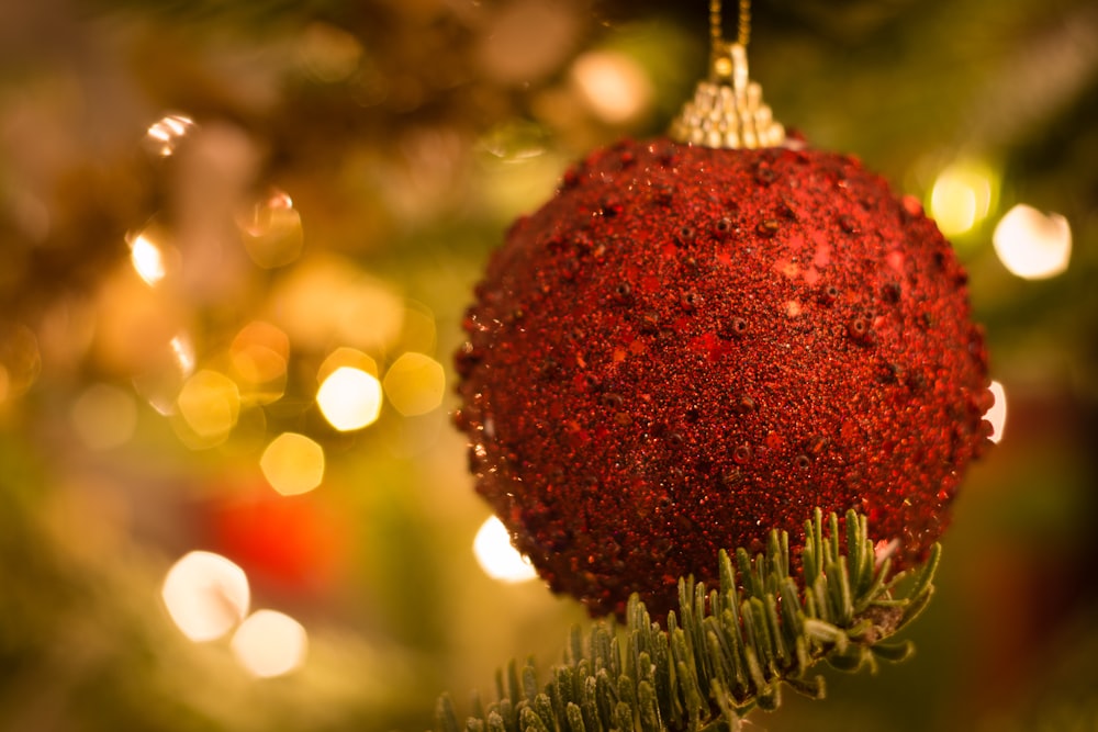 a red ornament hanging from a christmas tree