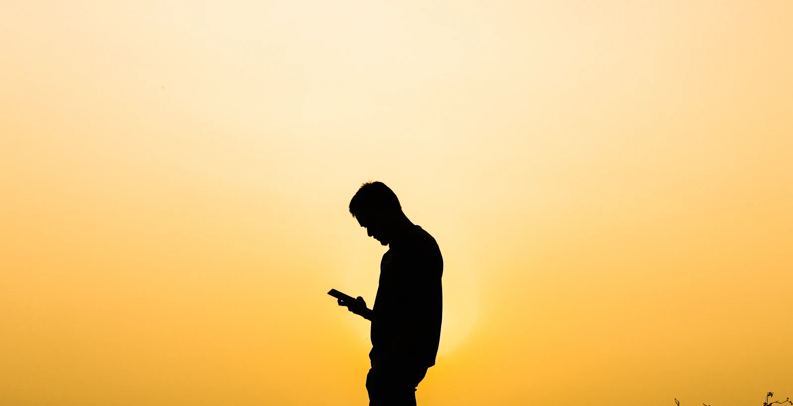 Silhouette of a person checking a smartphone against a glowing golden evening sky