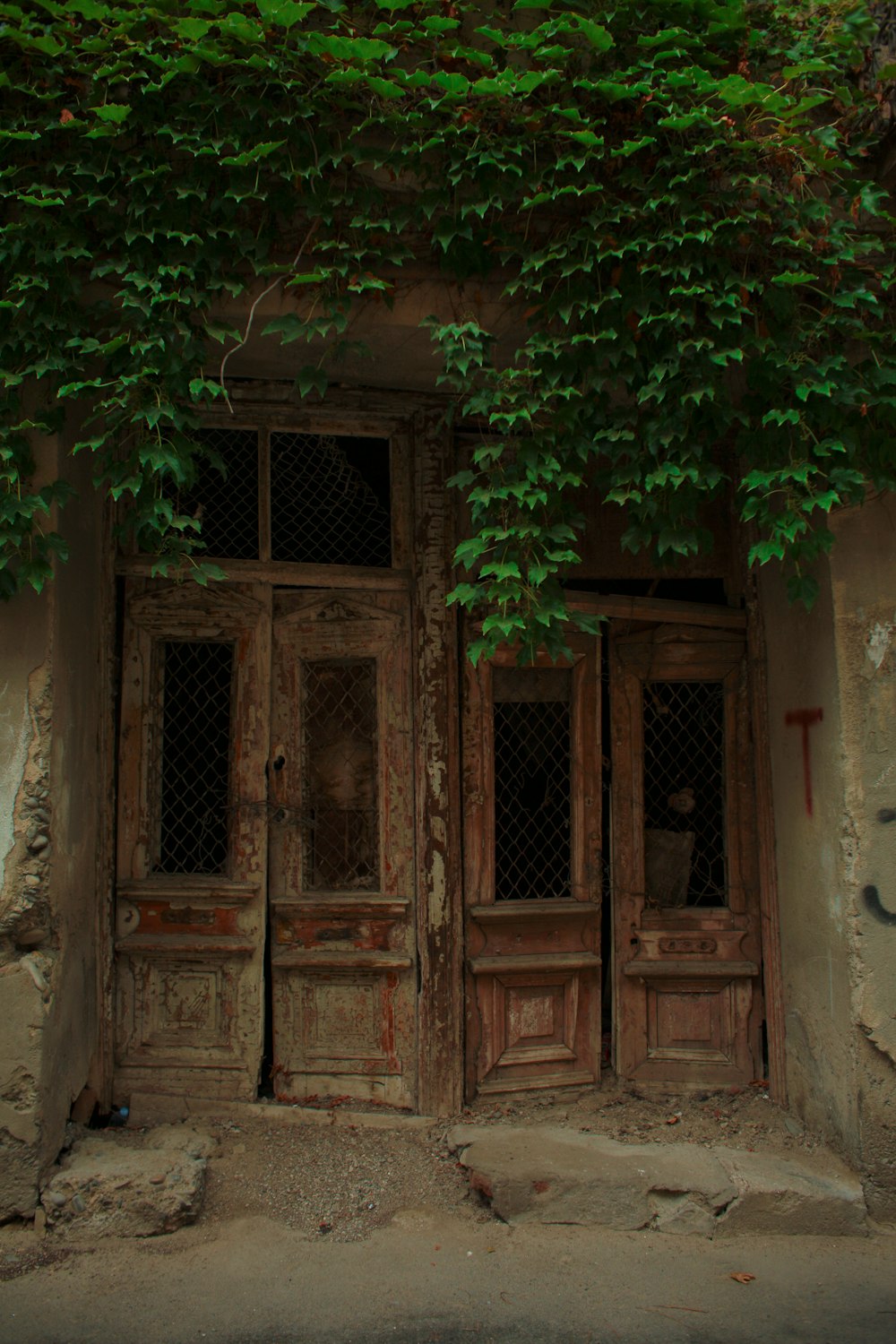 an old door with vines growing over it