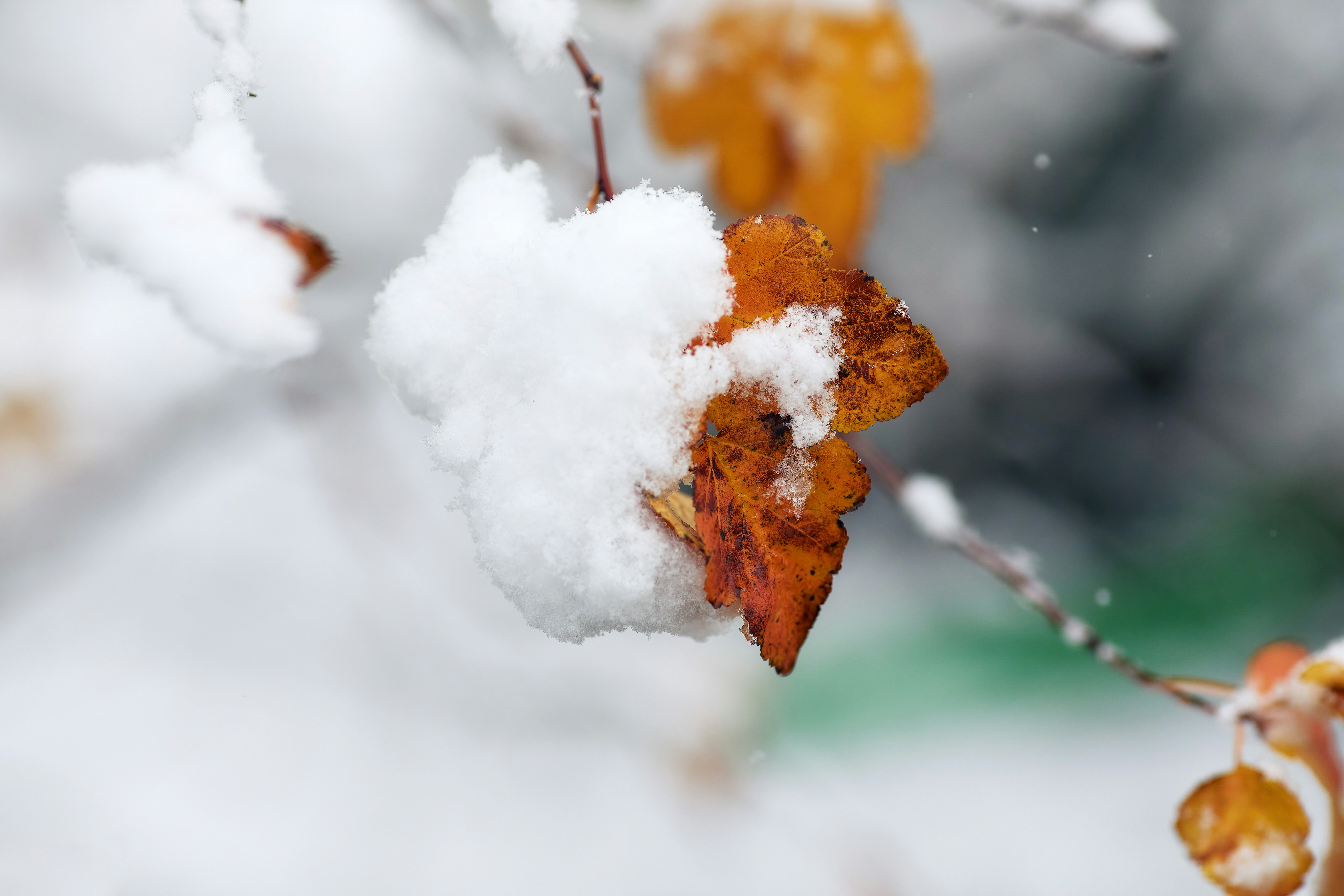 The Evolution of Seasonal Forecasting in 2026: AI Models, CubeSats, and Community Networks