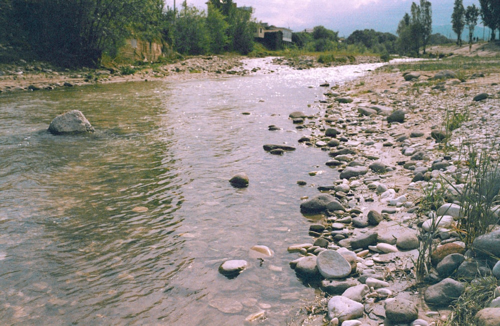 a river running through a lush green forest