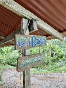 A rustic wooden sign hangs under a corrugated metal roof. The sign features the words 'Fresh Roasted Coffee' painted in bold, colorful letters. Surrounding the area is lush, green foliage with tropical plants, suggesting the location is in a natural, possibly rural setting. The ground is covered with a mix of gravel and dirt, hinting at a rustic or countryside environment.