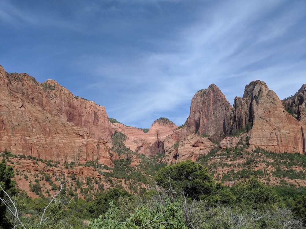 a mountain range with trees and bushes in the foreground