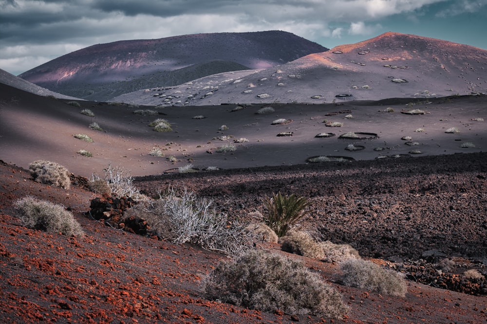 a desert landscape with mountains in the background