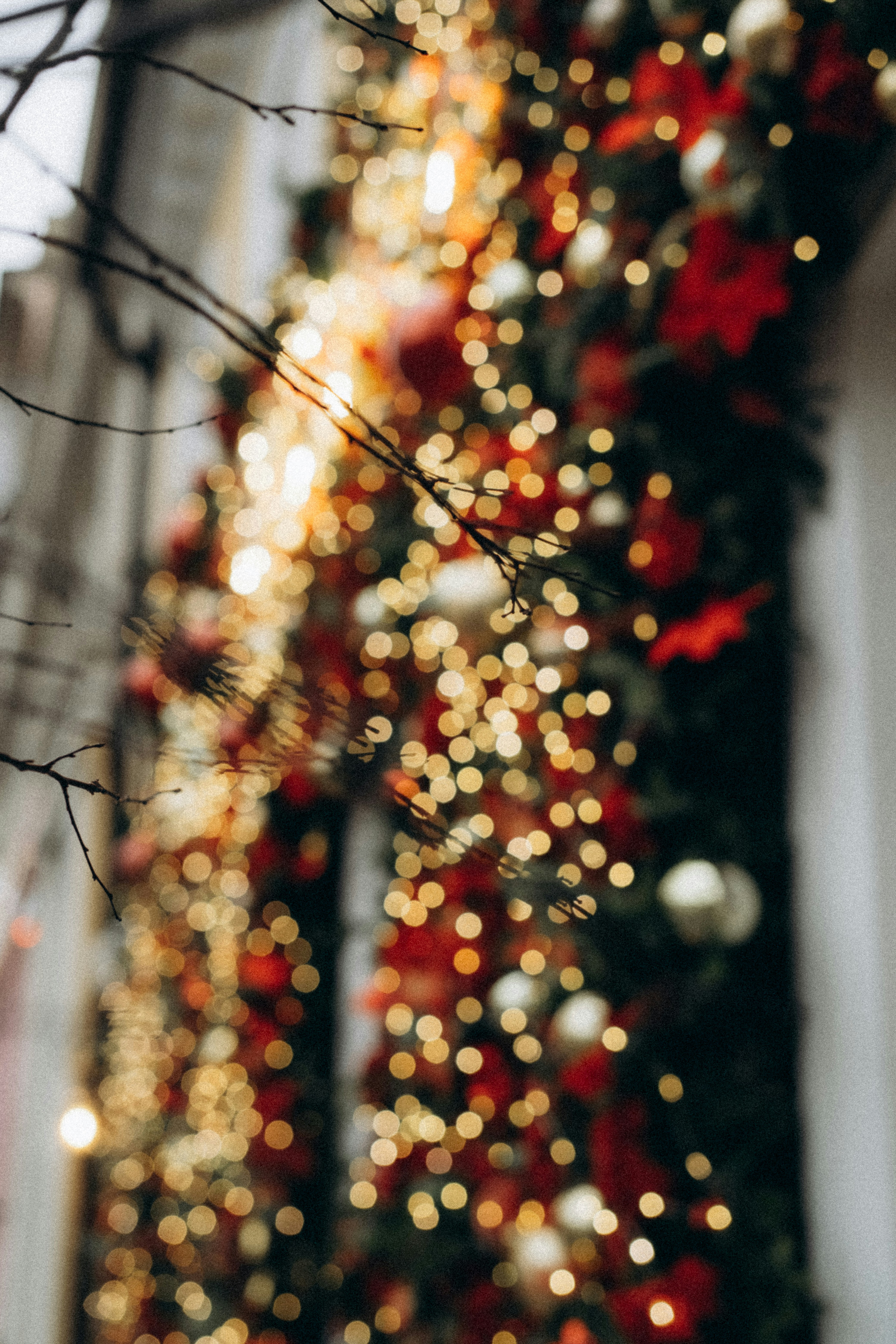 Photo by yana_hurska