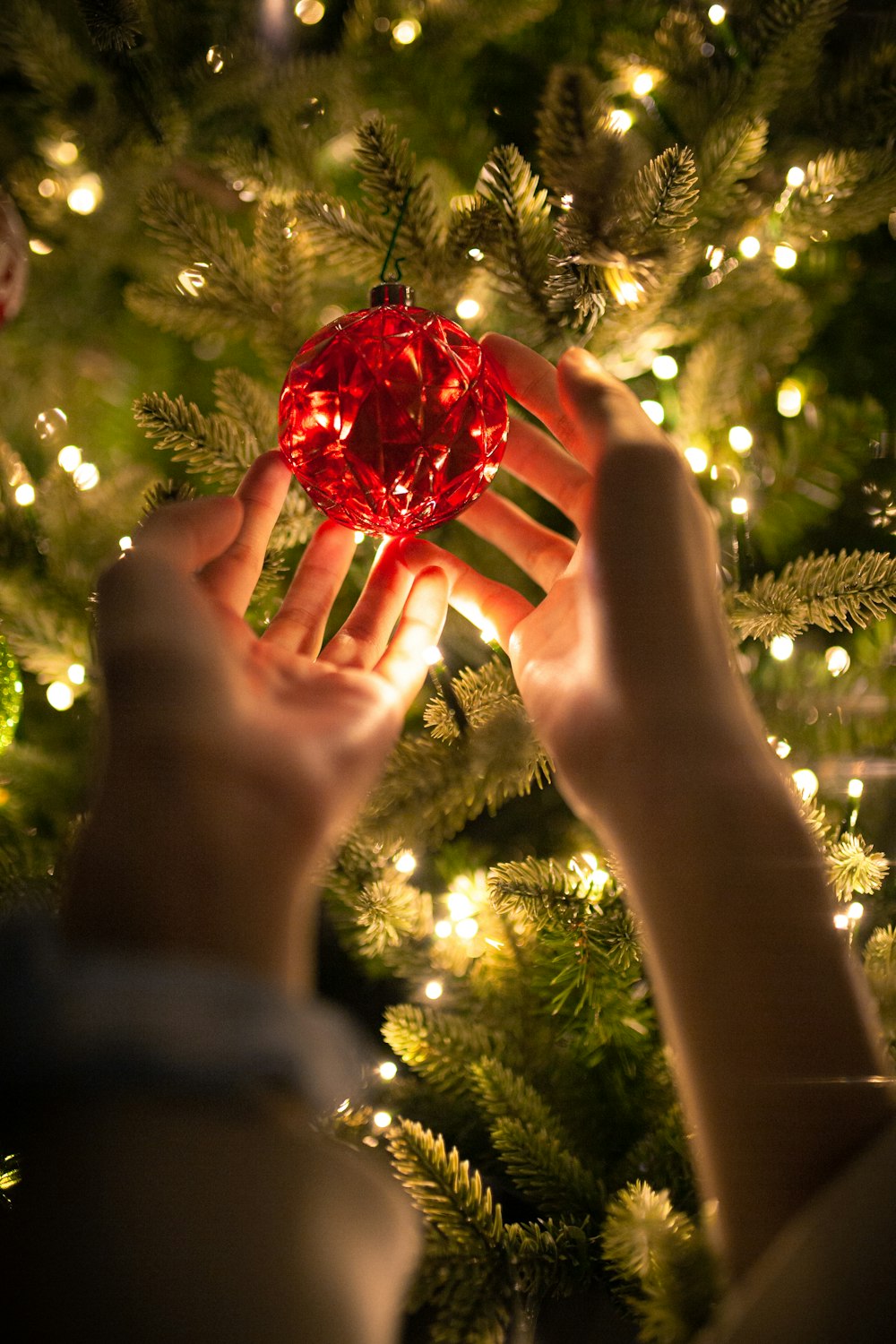 a person holding a red ornament in front of a christmas tree