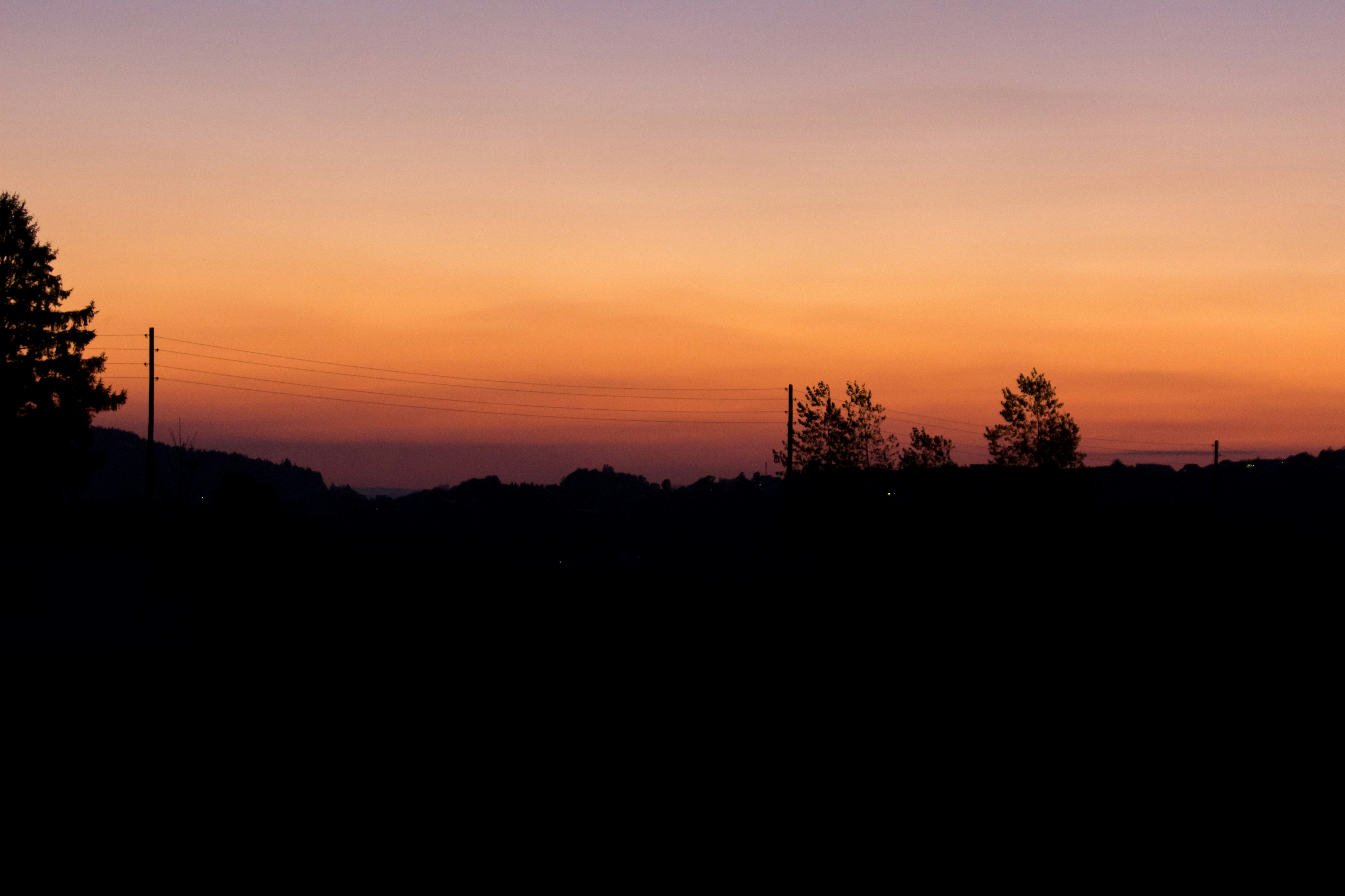 Photo by herrlechner