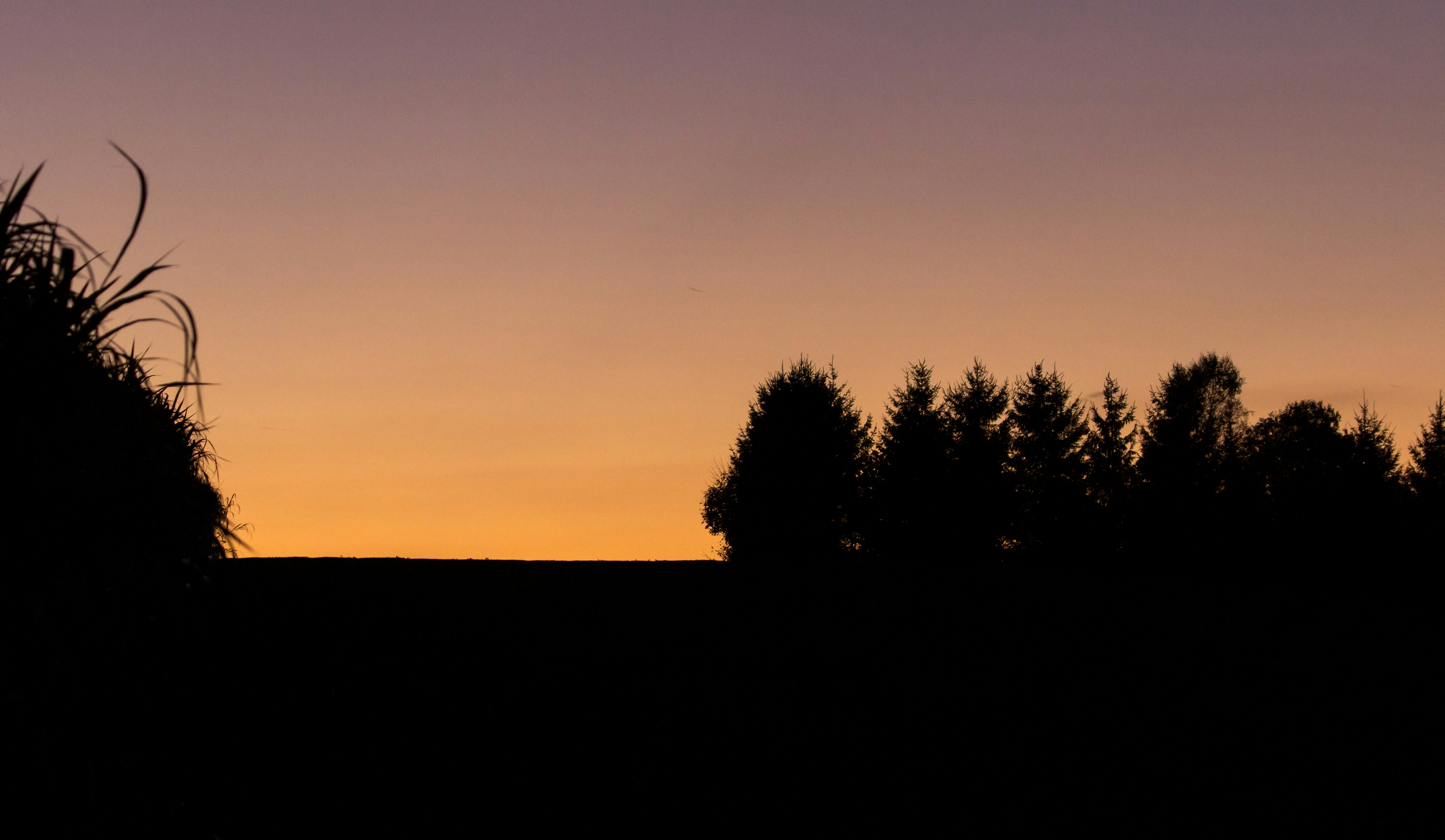 Photo by herrlechner