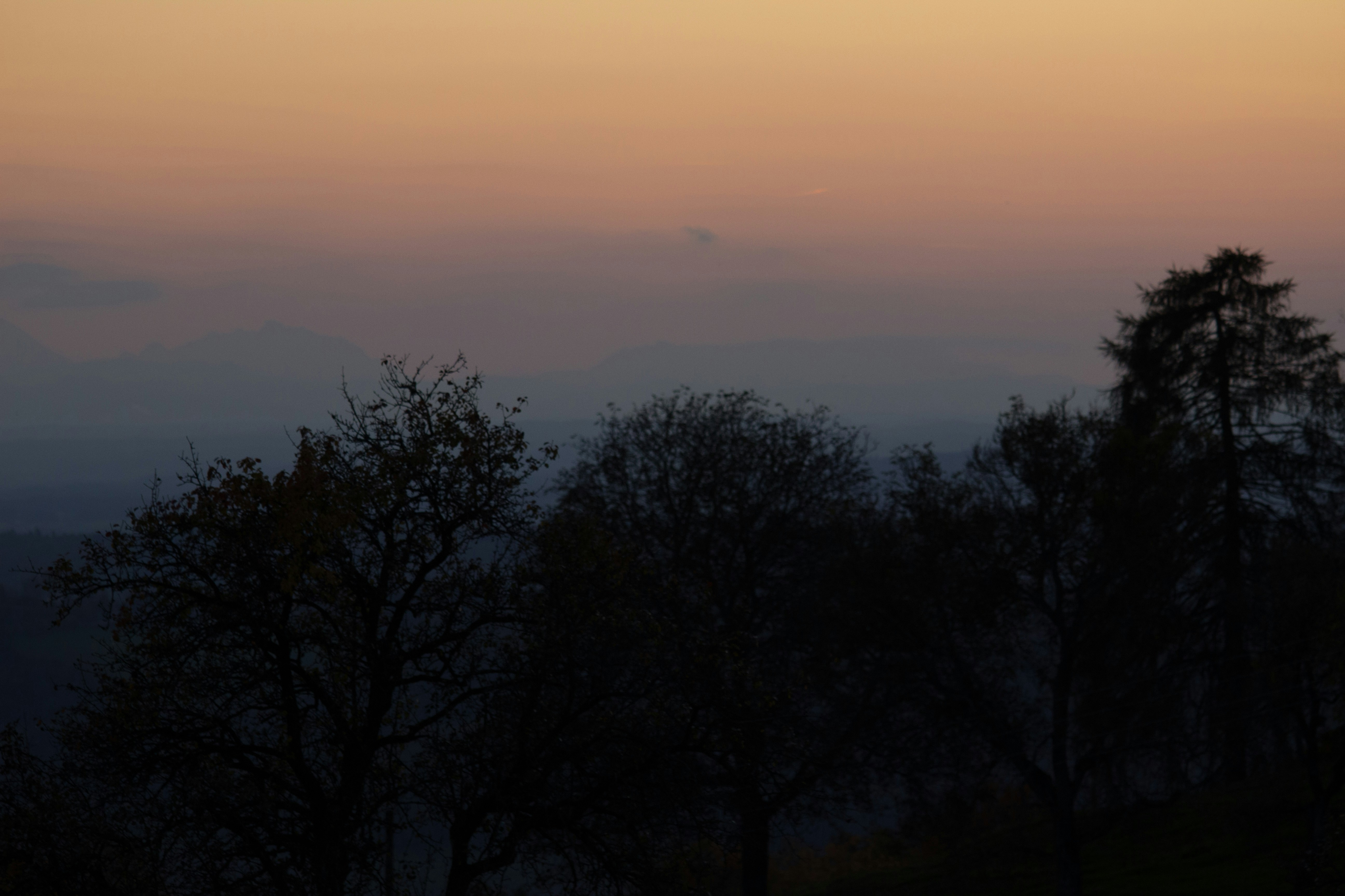 Photo by herrlechner