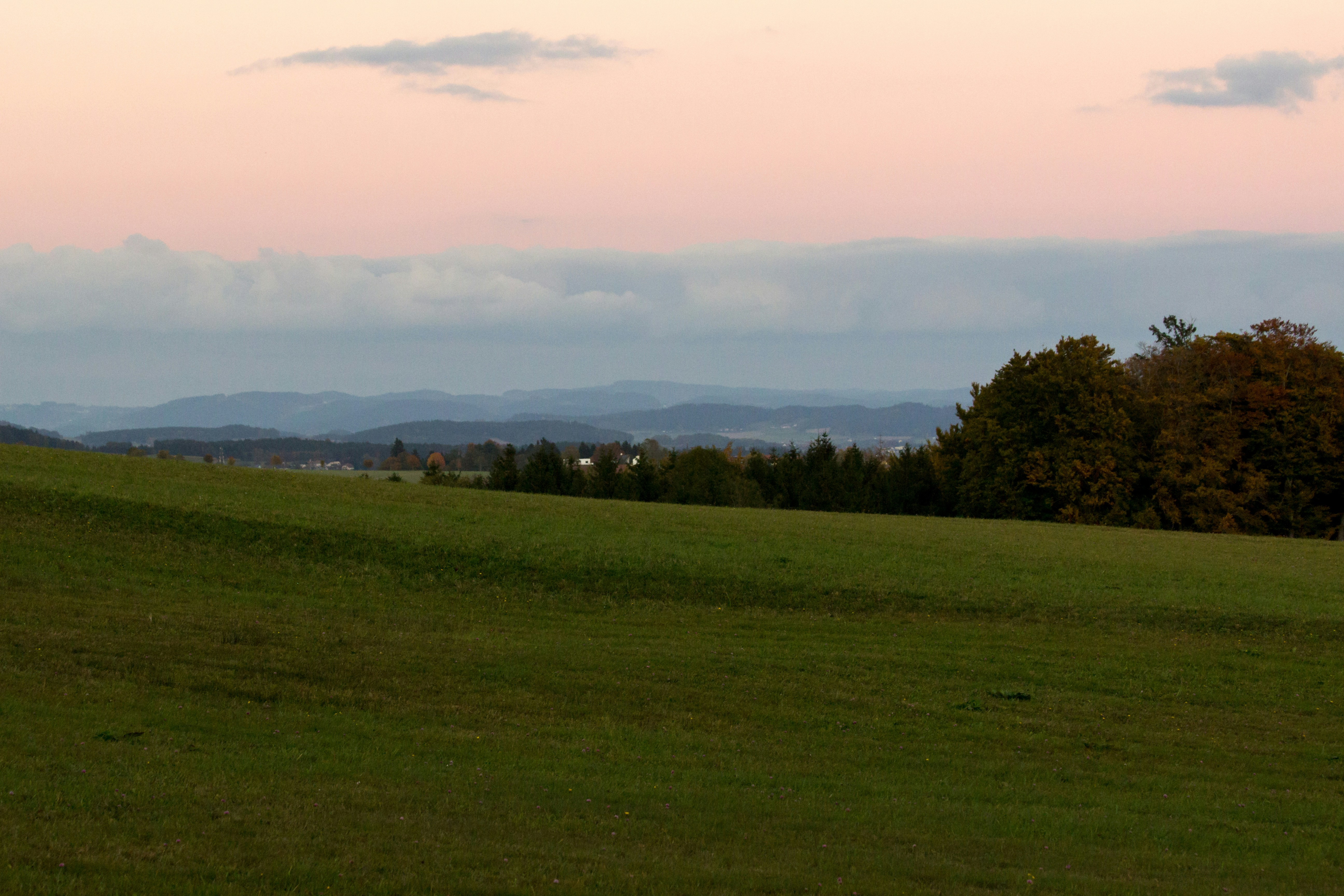 Photo by herrlechner