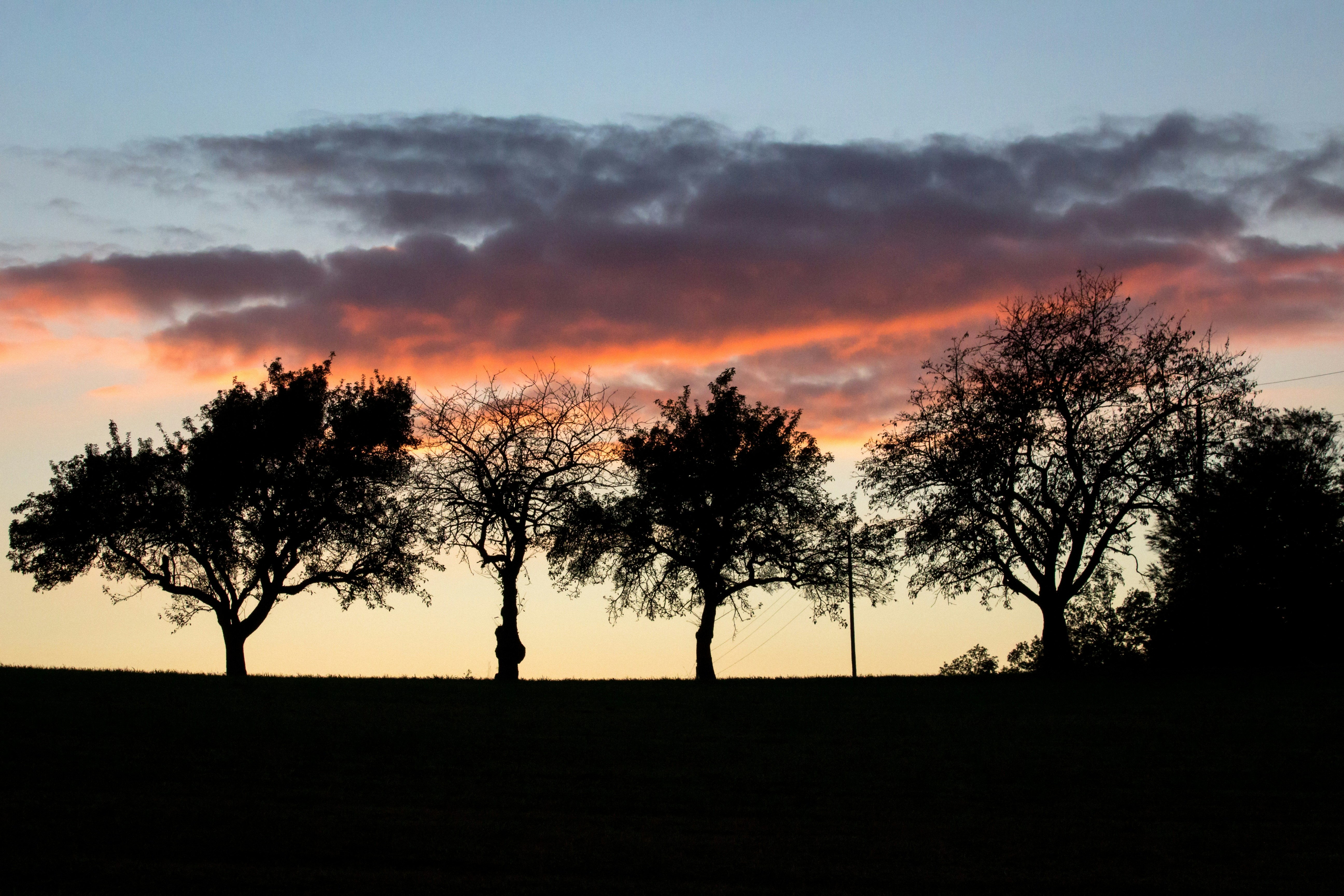 Photo by herrlechner