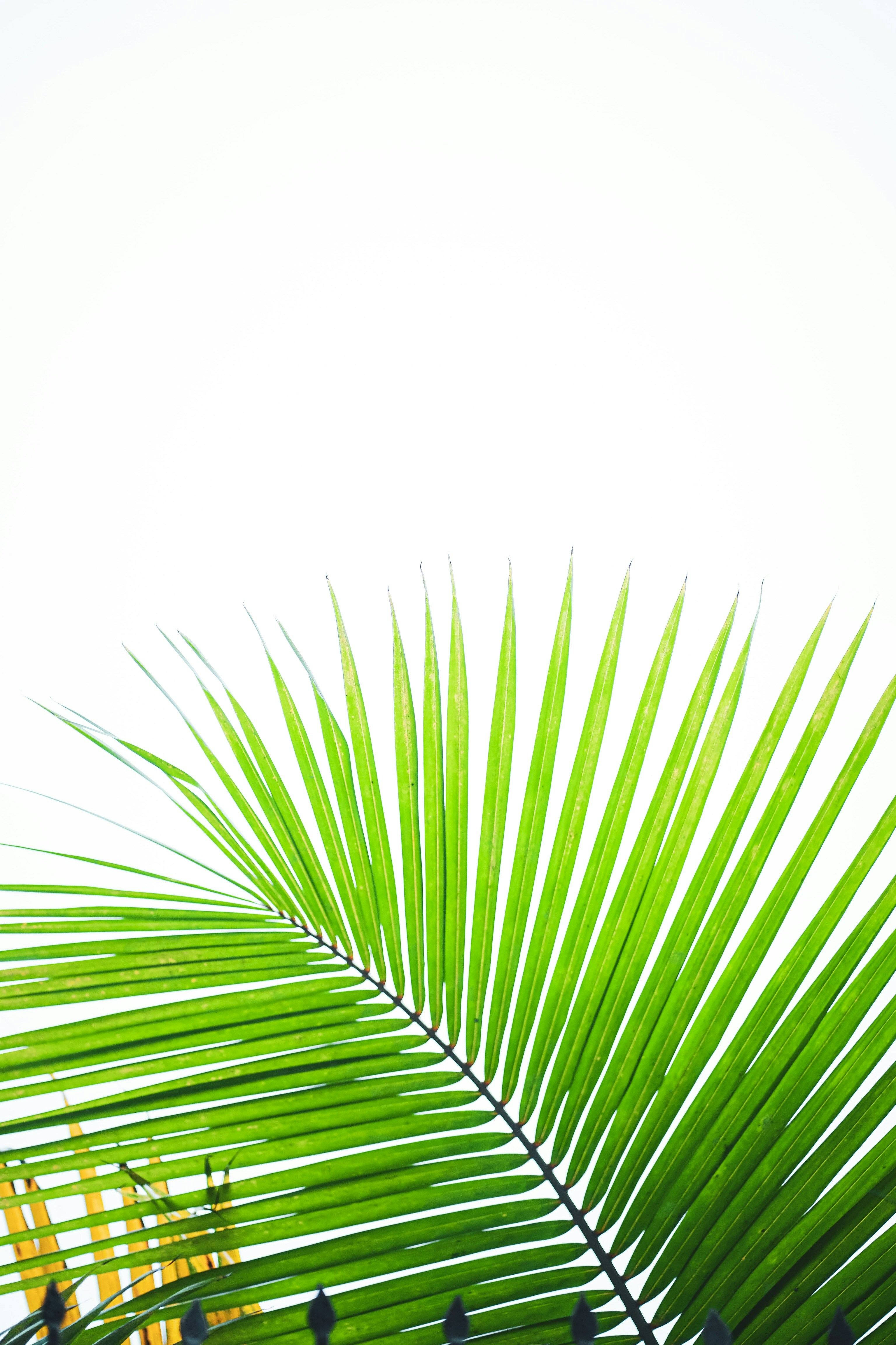 Photo by shyammishra94