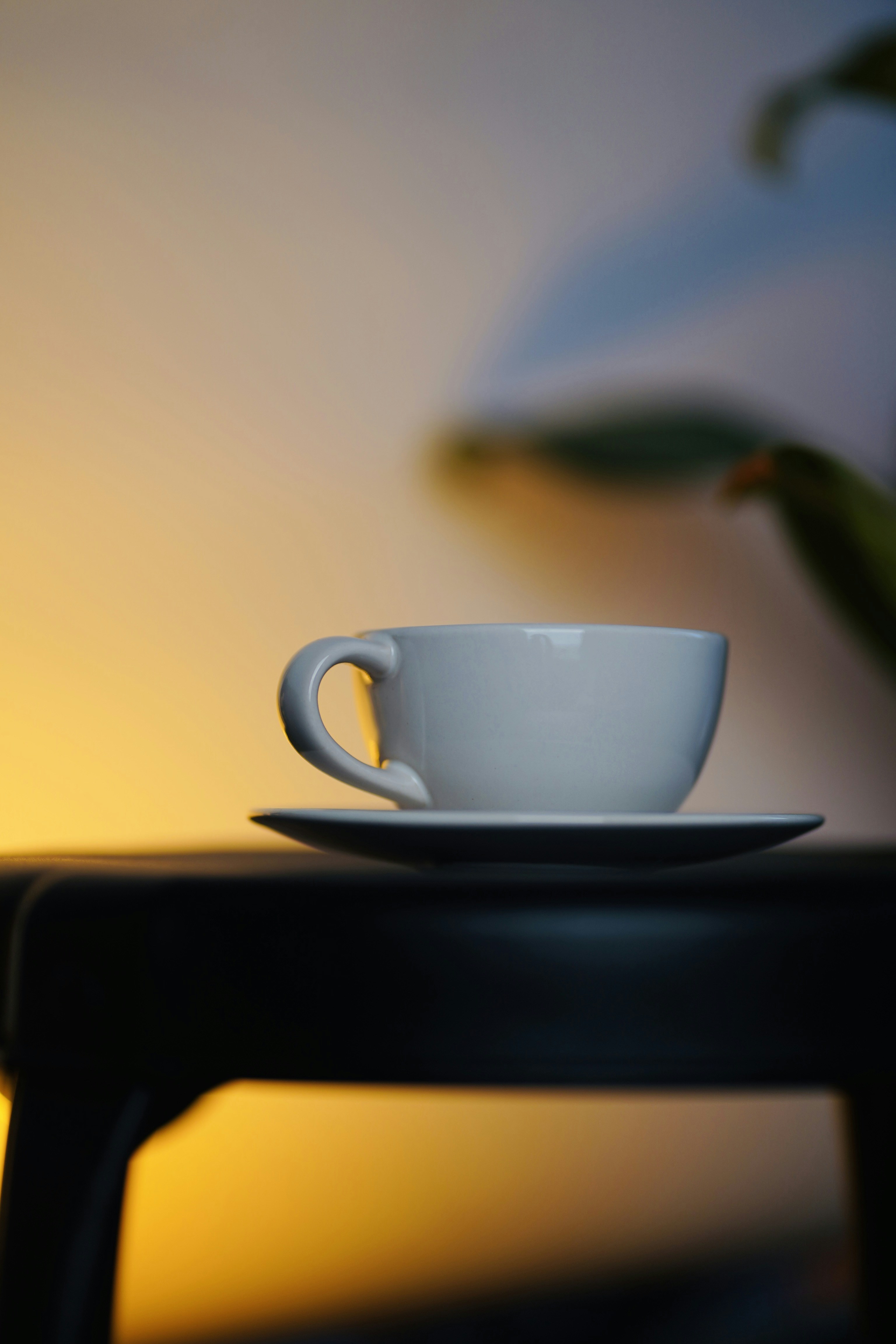 Photo by shyammishra94