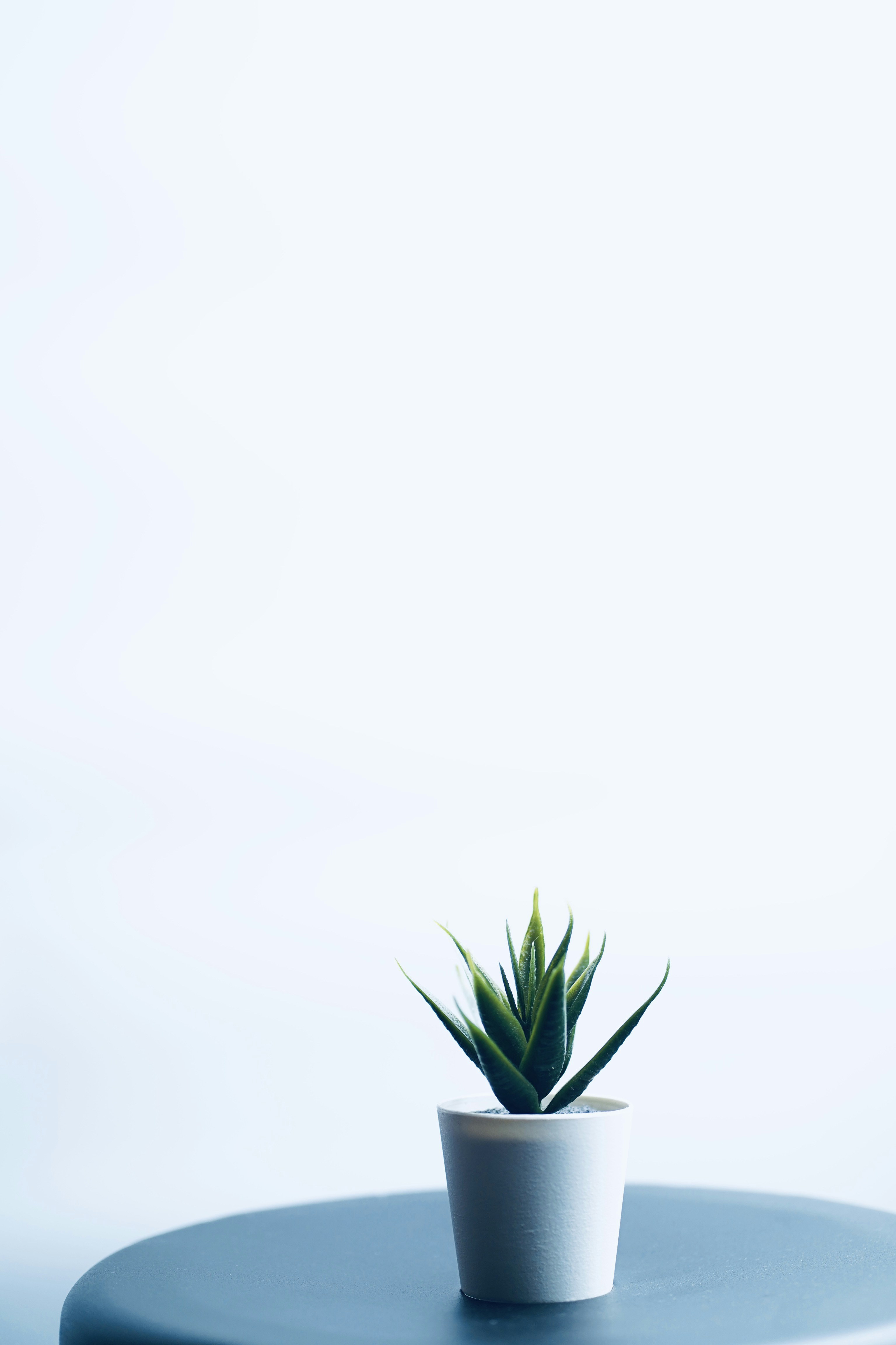 Photo by shyammishra94