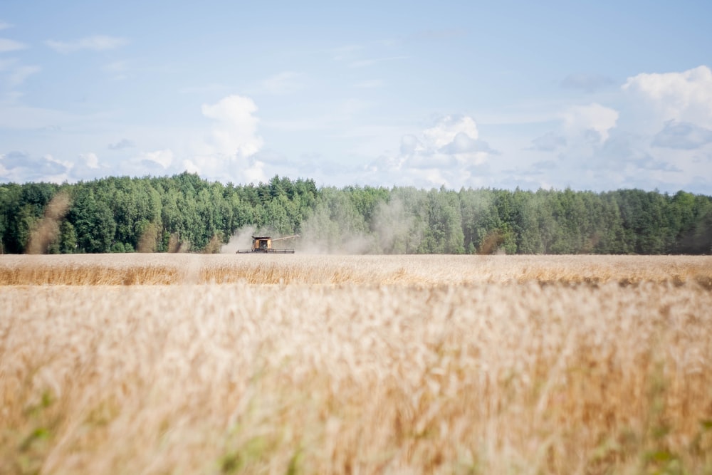 a tractor is driving through a field of tall grass