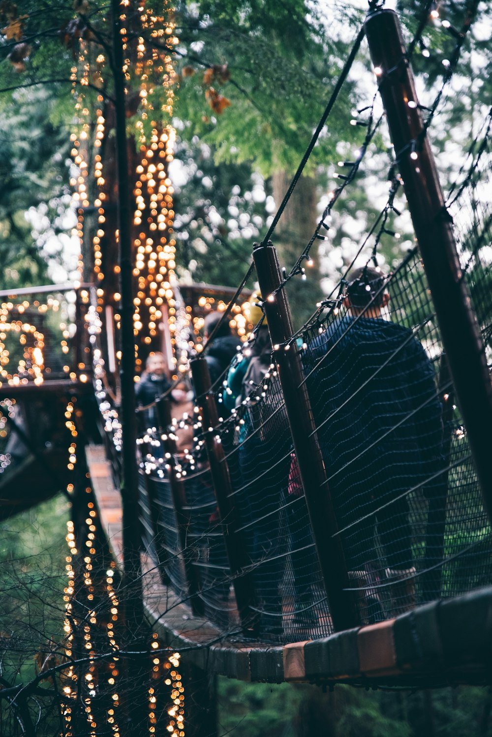 a group of people on a rope bridge in the woods