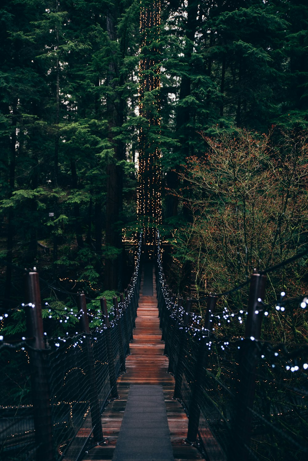 a bridge that is surrounded by trees and lights