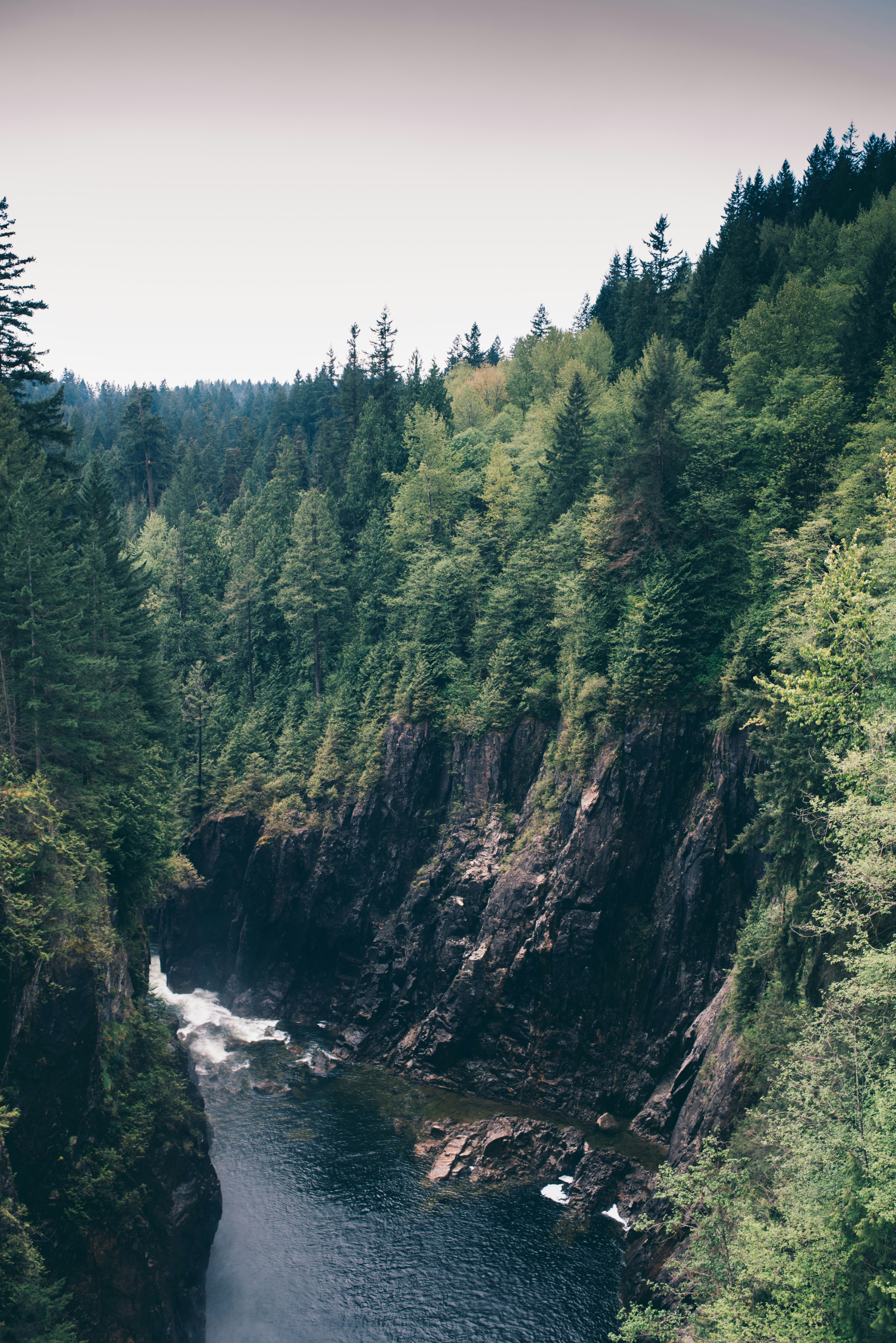 Photo by timwoolliscroft